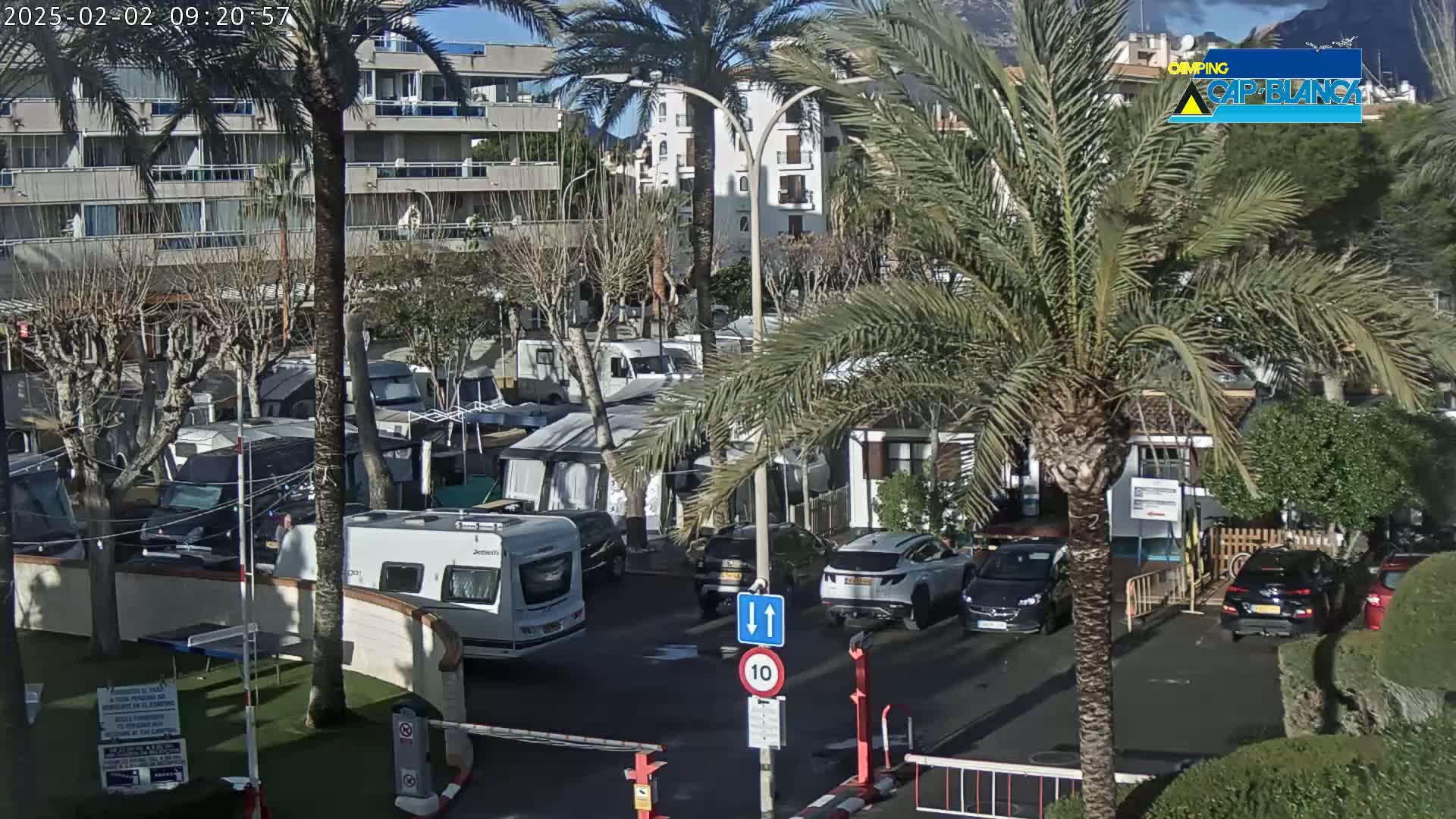 A sunny day at a campground with numerous RVs and cars parked amongst palm trees and buildings.