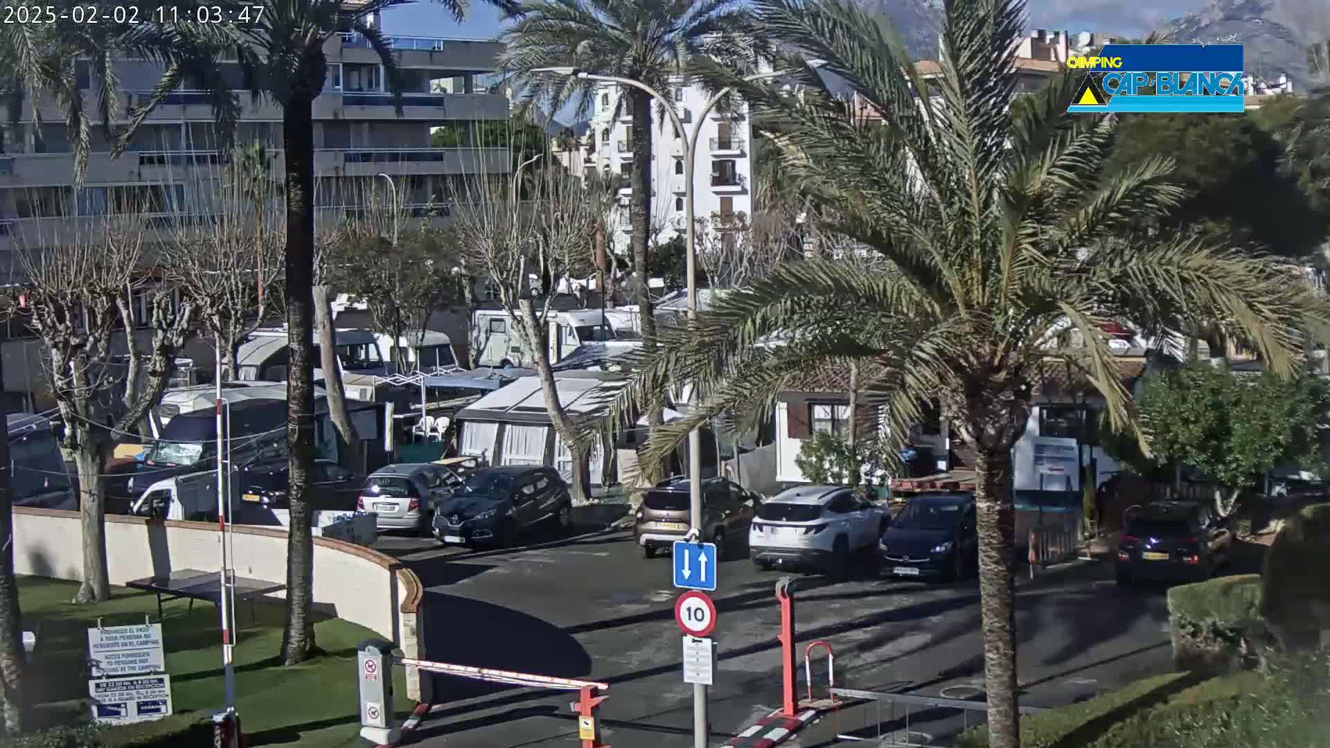 A sunny day reveals a parking lot filled with cars and campervans, surrounded by palm trees and buildings.