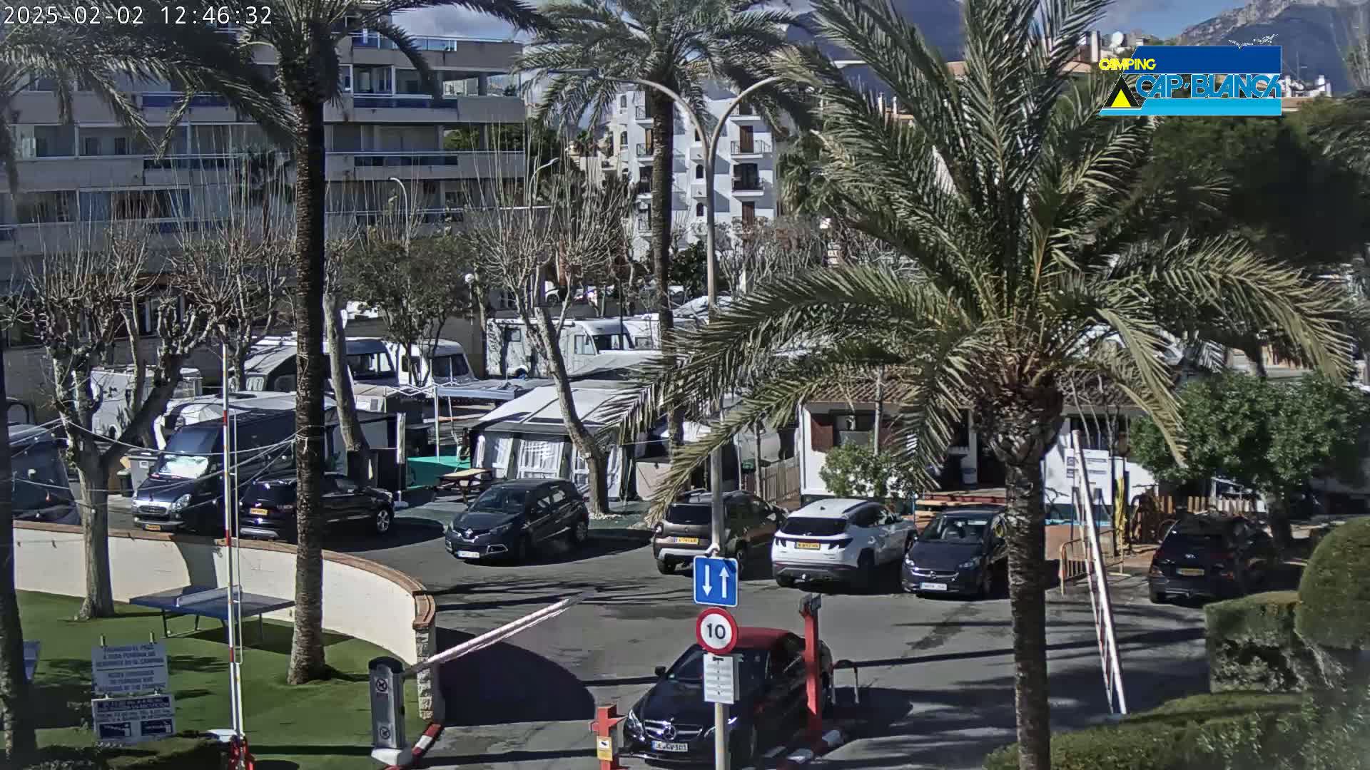 A sunny day at a campground with numerous RVs, cars, and palm trees surrounding a paved area.