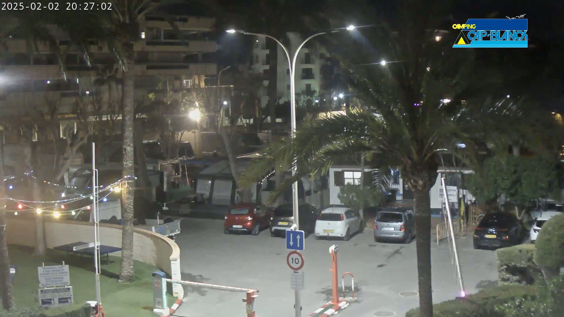A nighttime parking lot with several cars, palm trees, and string lights, under a clear sky.
