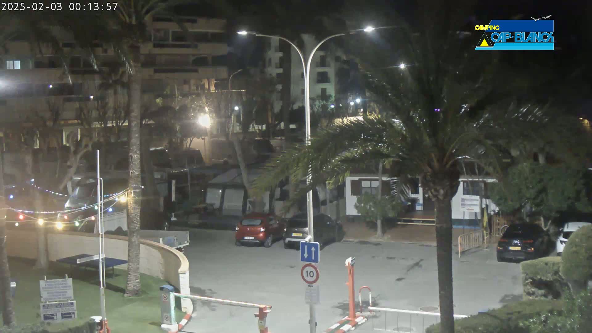 A nighttime view of a parking lot with cars and palm trees, illuminated by streetlights.