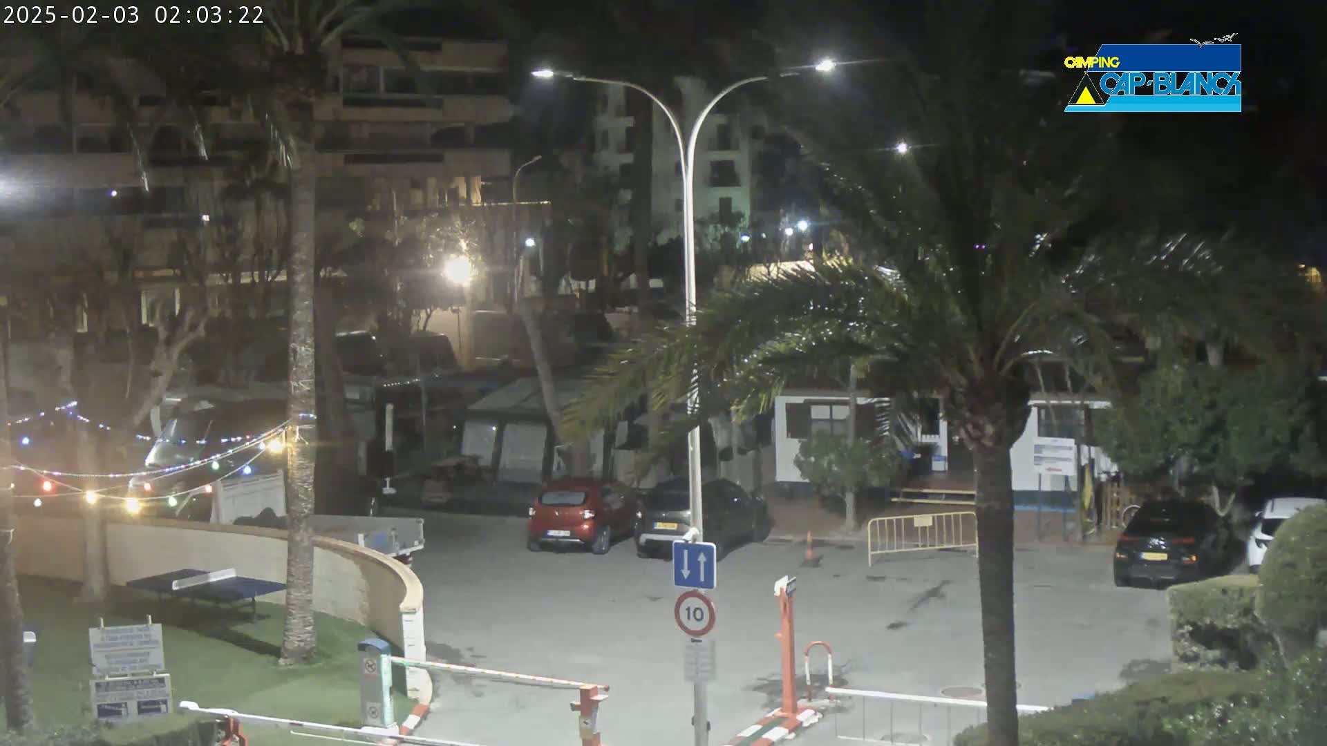 A nighttime view of a parking lot with several cars, palm trees, and buildings, illuminated by streetlights.