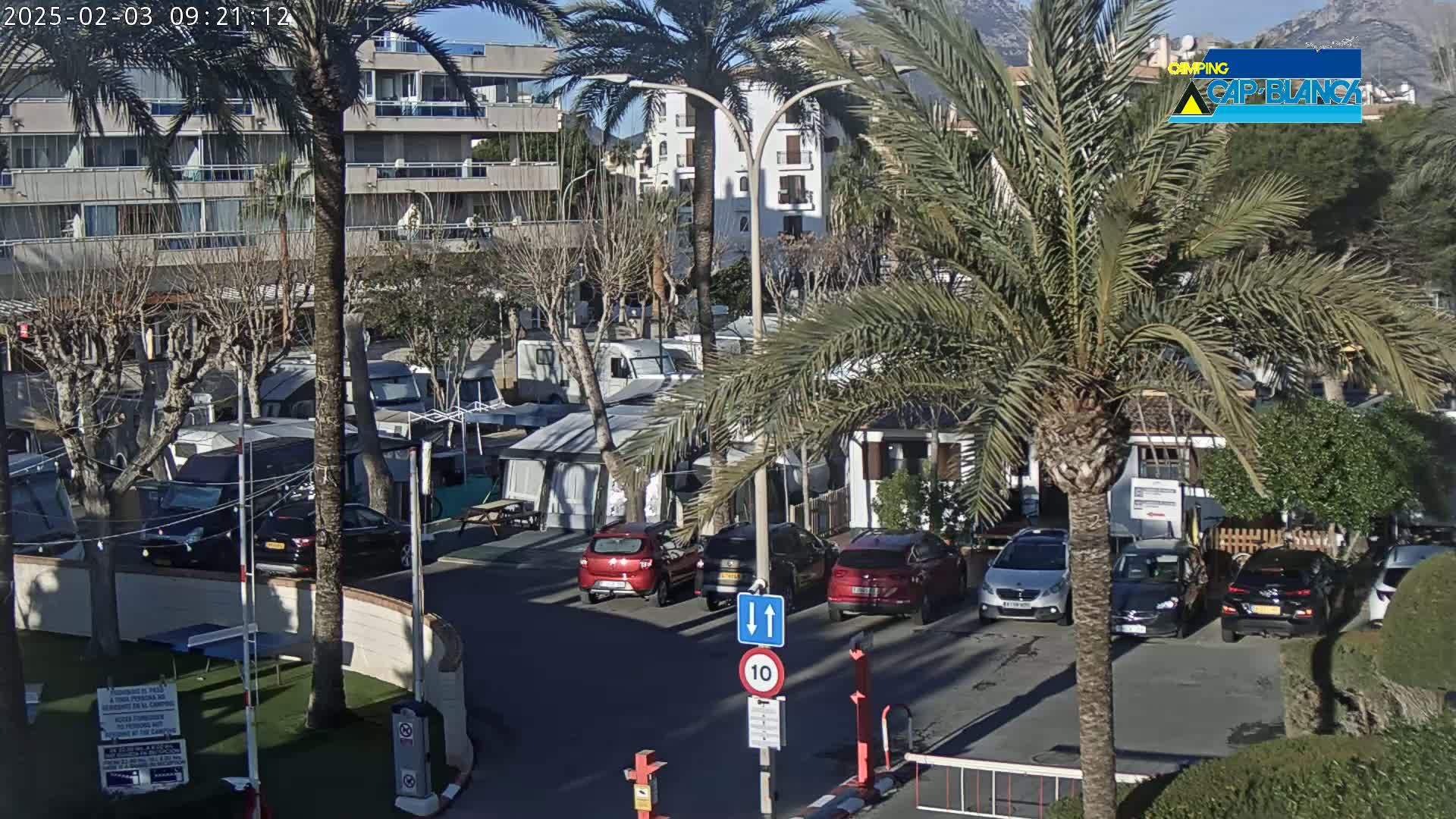 A sunny day at a campground with numerous RVs and cars parked amongst palm trees and buildings.