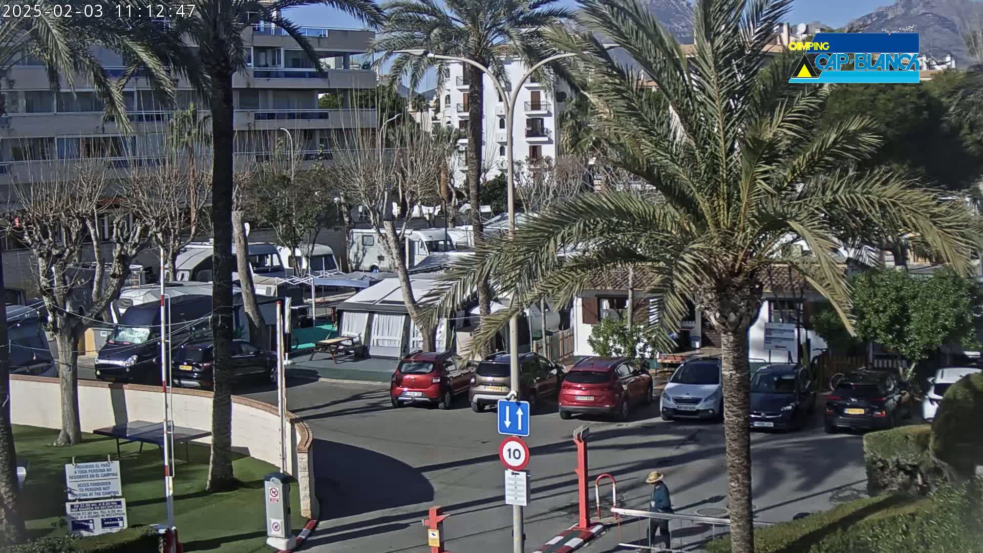 A sunny day at a campground with numerous RVs, cars, and palm trees, near a multi-story building.
