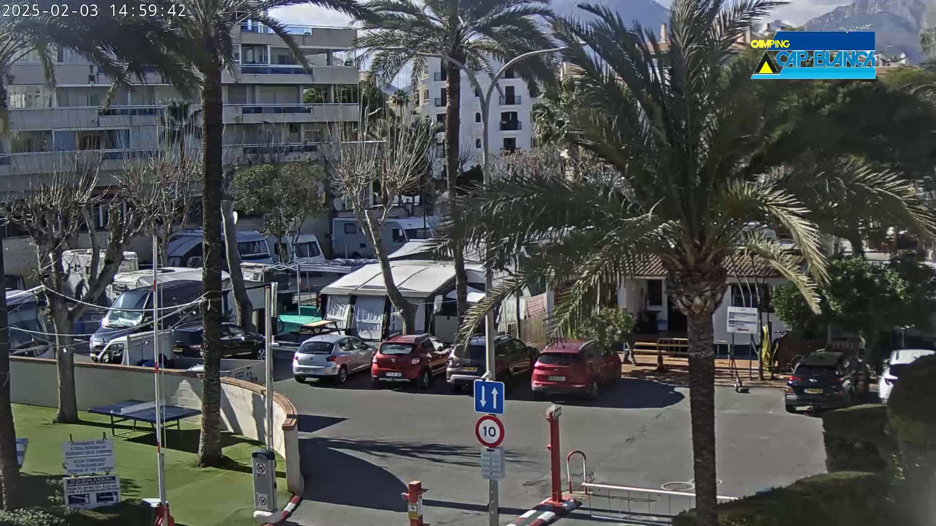 A sunny day at a campground with numerous RVs and cars parked, situated next to a multi-story building and palm trees.