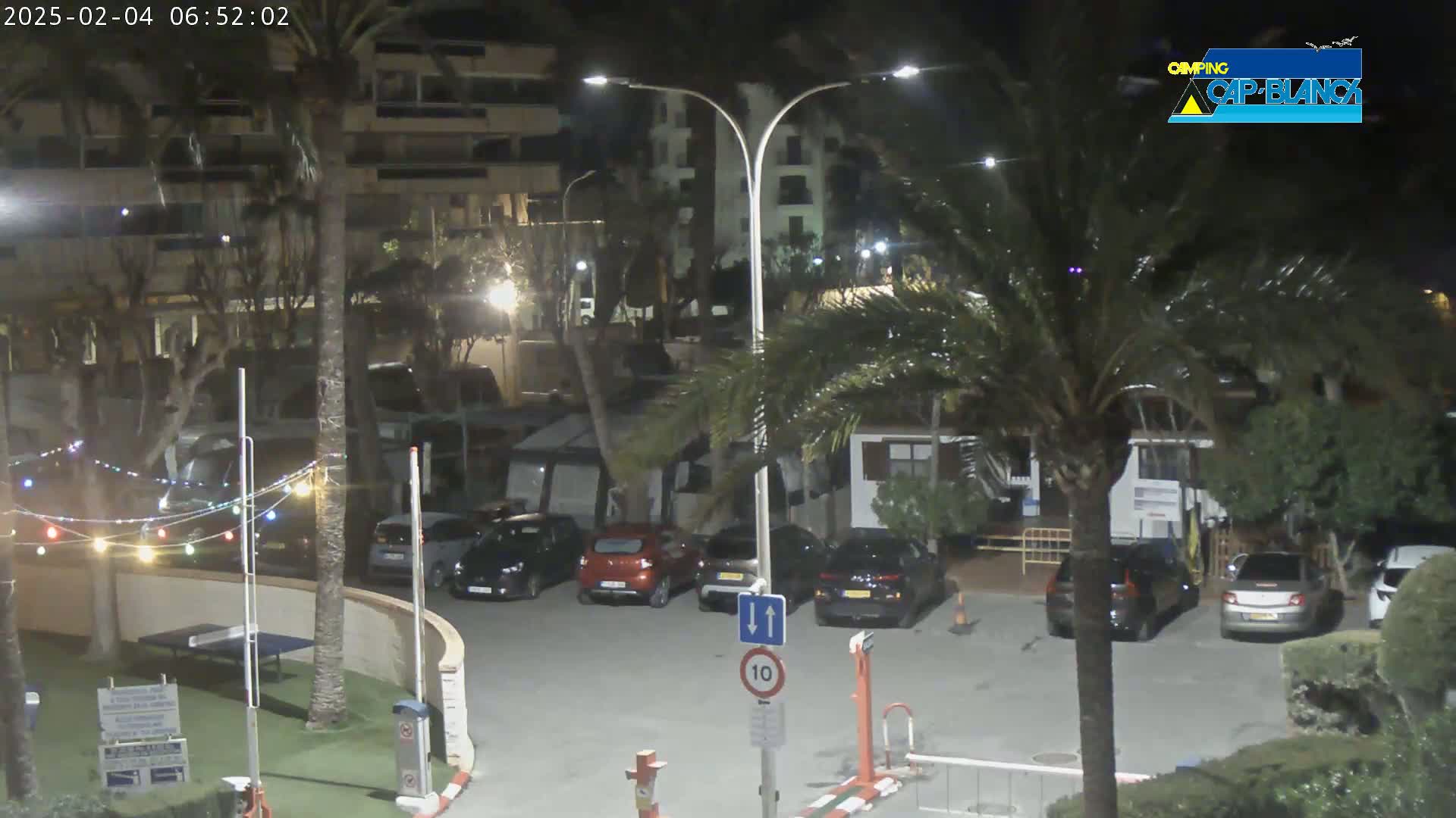 A nighttime parking lot with several cars parked, surrounded by palm trees and buildings, under clear skies.