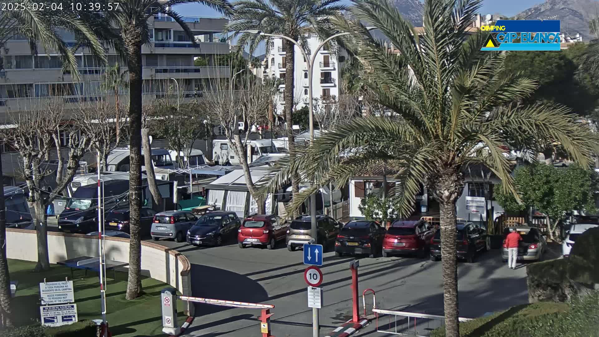 A sunny day at a campground with numerous RVs and cars parked, surrounded by palm trees and buildings.