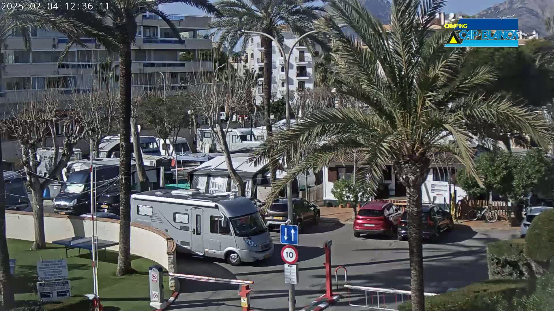 A sunny day at a campground filled with RVs and cars, surrounded by palm trees and buildings.