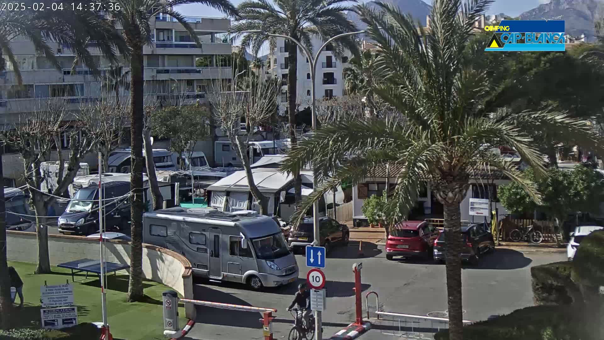 A sunny day at a campground shows numerous RVs and campervans parked among palm trees near apartment buildings and a mountain in the distance.