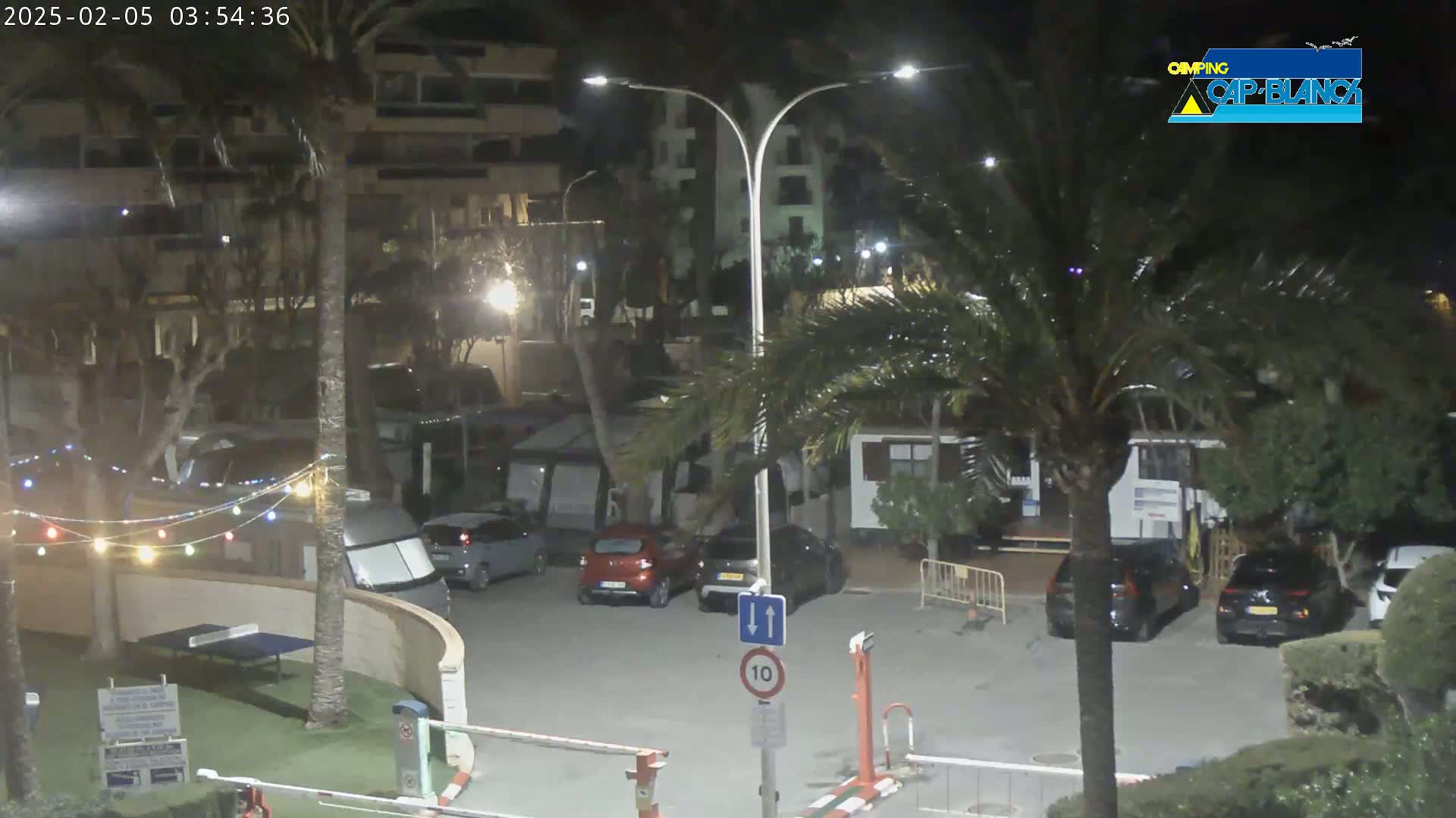 A nighttime view of a parking lot with cars and RVs, surrounded by palm trees and buildings, under slightly overcast conditions.