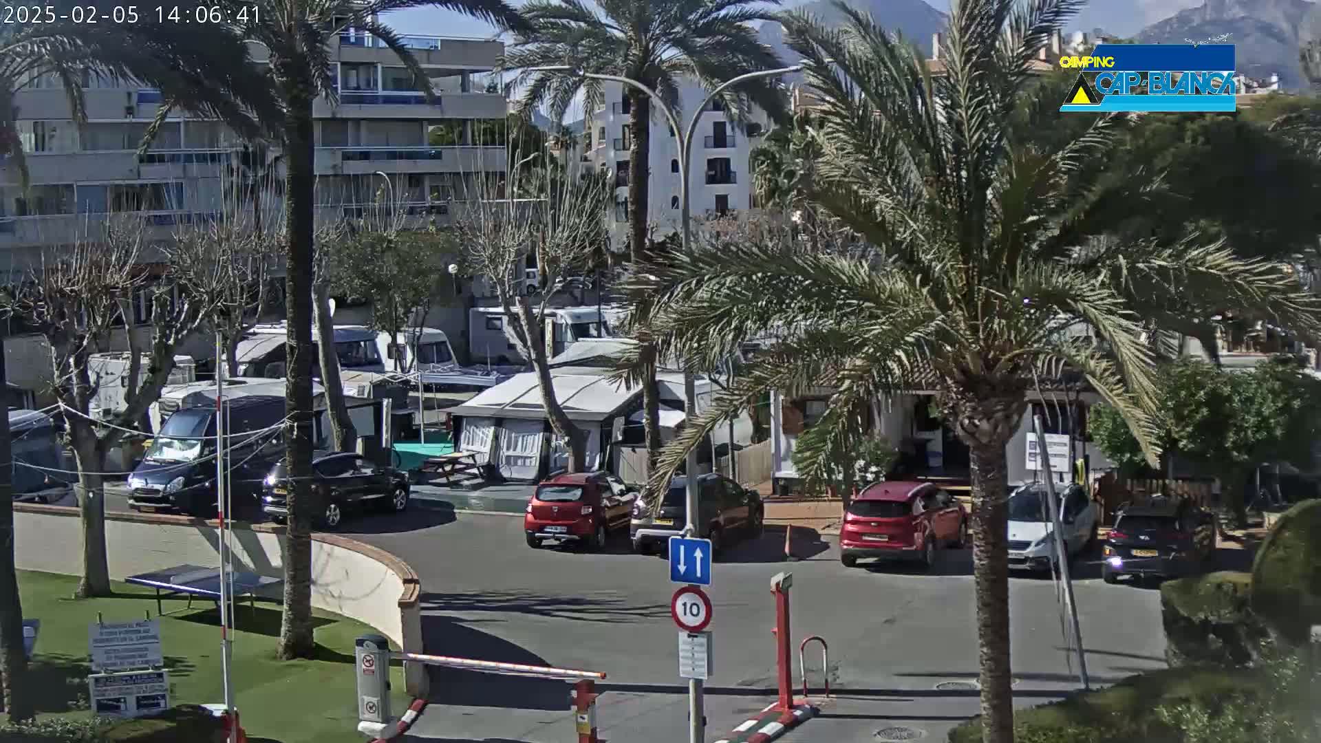 A sunny outdoor scene shows a parking lot filled with cars and camper vans, surrounded by palm trees and apartment buildings.