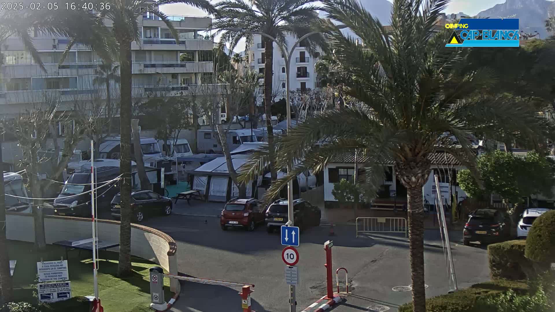 A sunny outdoor scene shows a campground with numerous RVs and tents, situated near a multi-story building and palm trees.