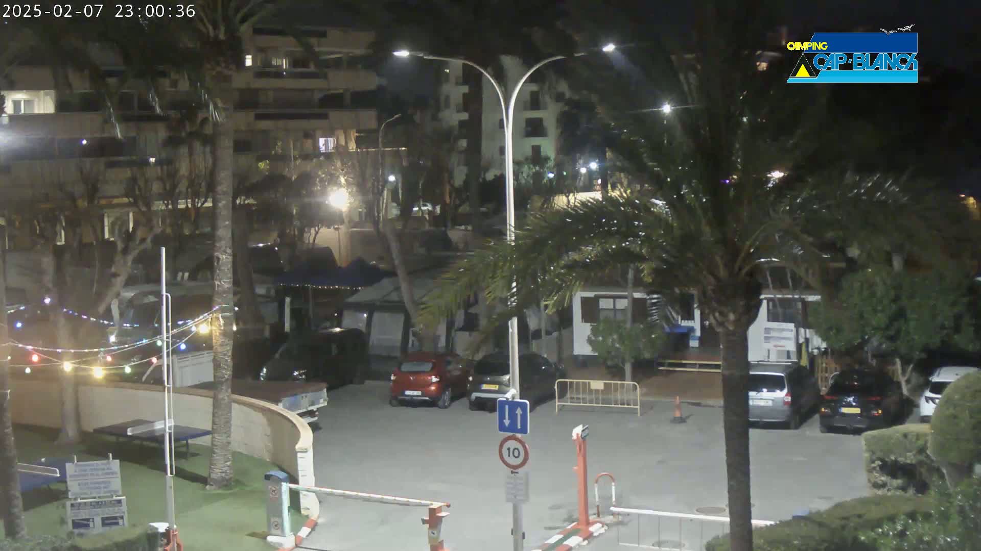 A nighttime view of a parking lot with several cars, palm trees, and string lights, situated near buildings under artificial lighting.