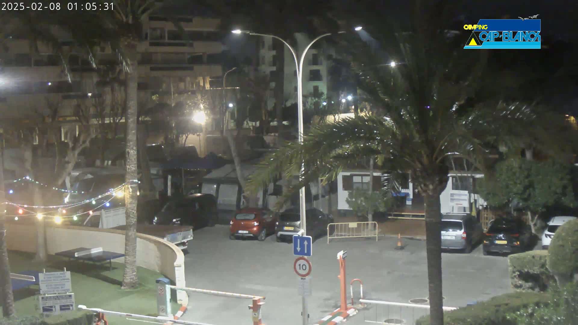 A nighttime scene of a parking lot with several cars, palm trees, and string lights, lightly raining.