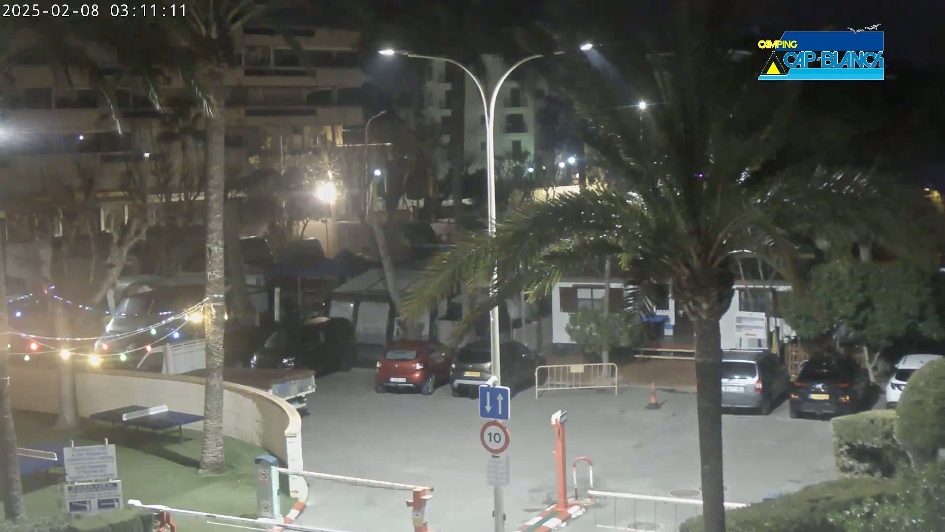 A nighttime view of a parking lot with several cars, palm trees, and a building in the background, under slightly overcast conditions.