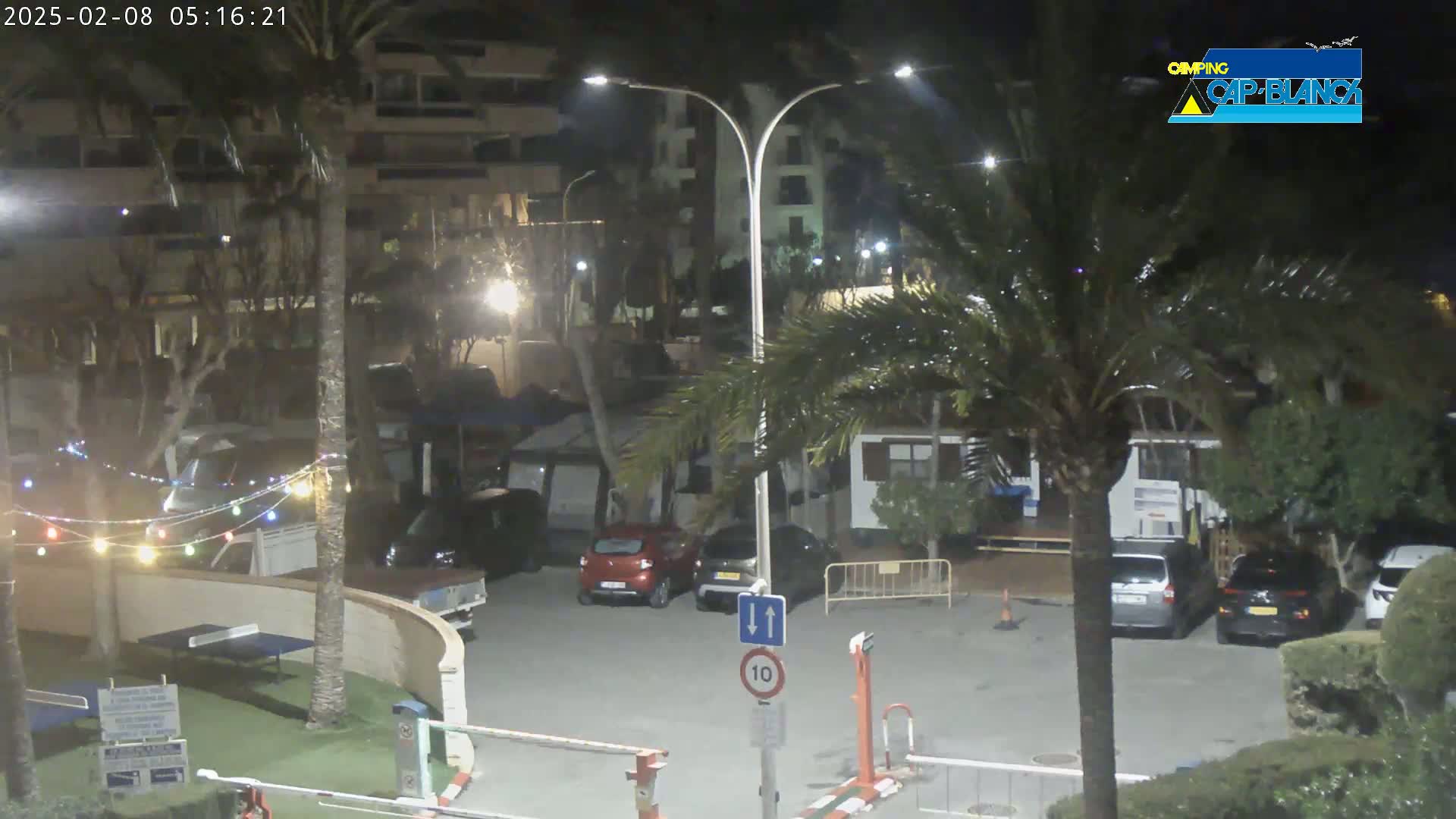 A nighttime parking lot with several cars, palm trees, and string lights, next to a building.