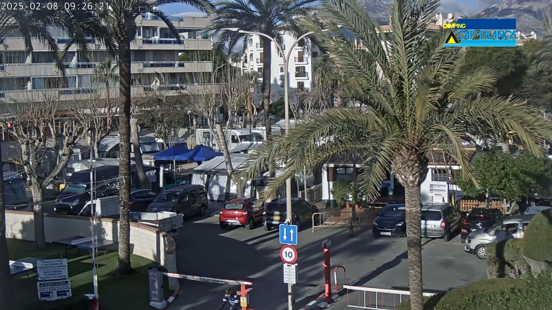 A sunny day reveals a parking lot filled with campervans and cars near several buildings and palm trees.
