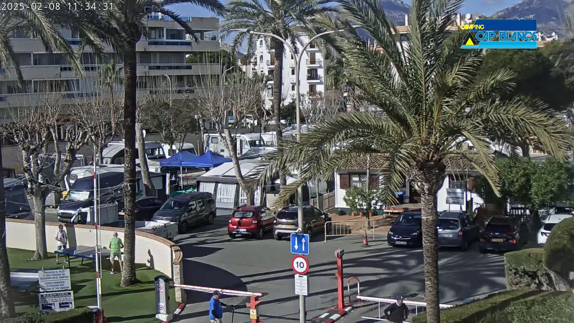 A sunny outdoor scene shows a parking area with numerous RVs and cars, surrounded by palm trees, buildings, and some pedestrians.