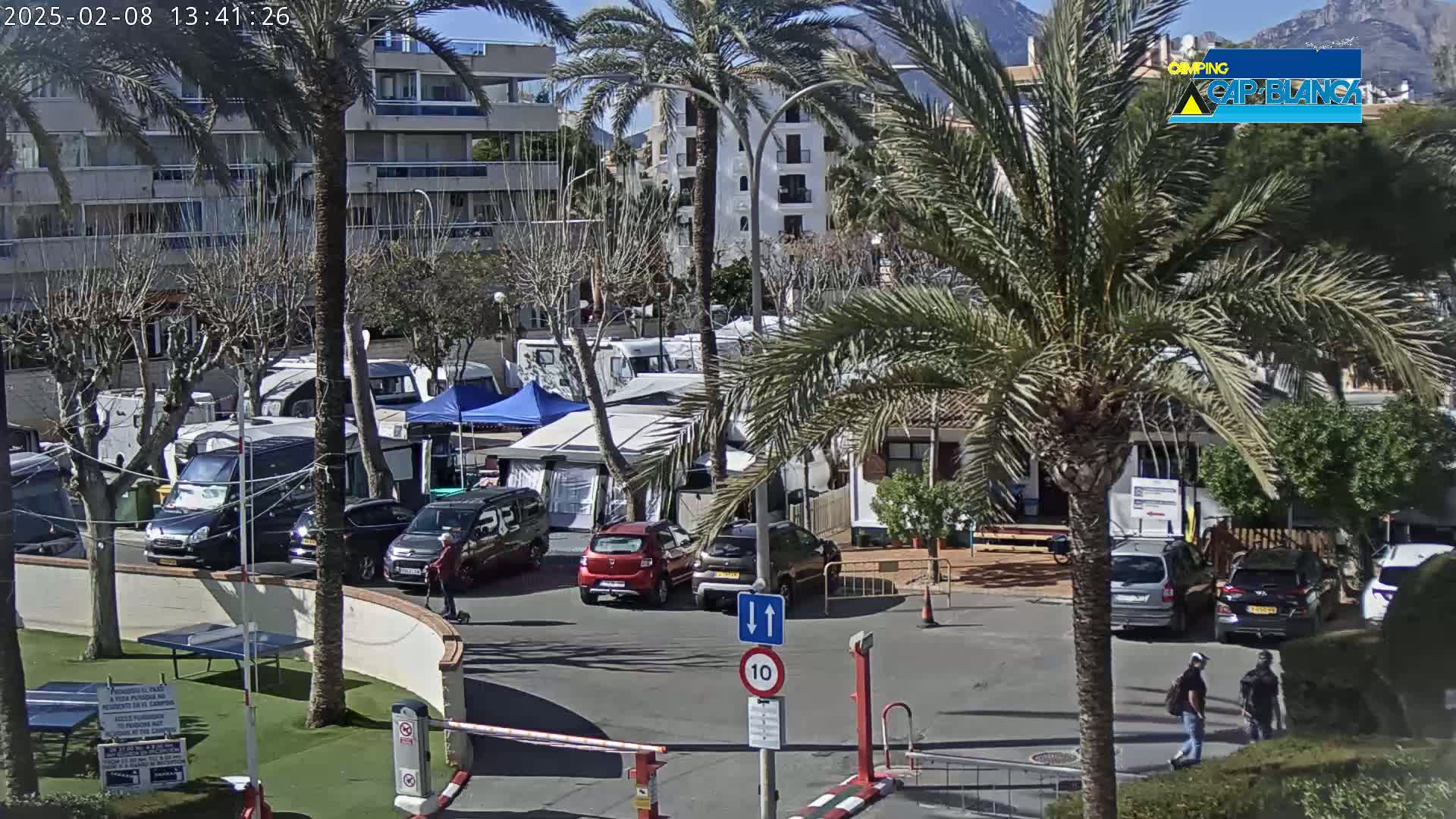 A sunny day at a campground with numerous RVs and cars parked, surrounded by palm trees and buildings.