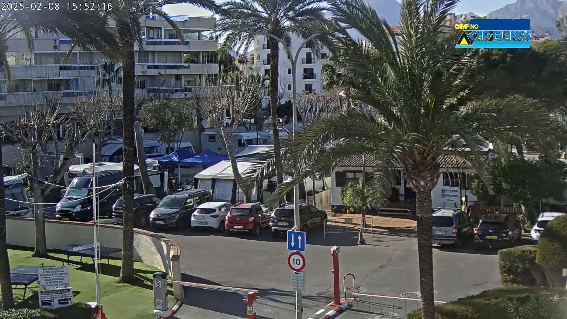 A sunny outdoor scene shows a parking lot filled with cars and campervans next to a building and palm trees.