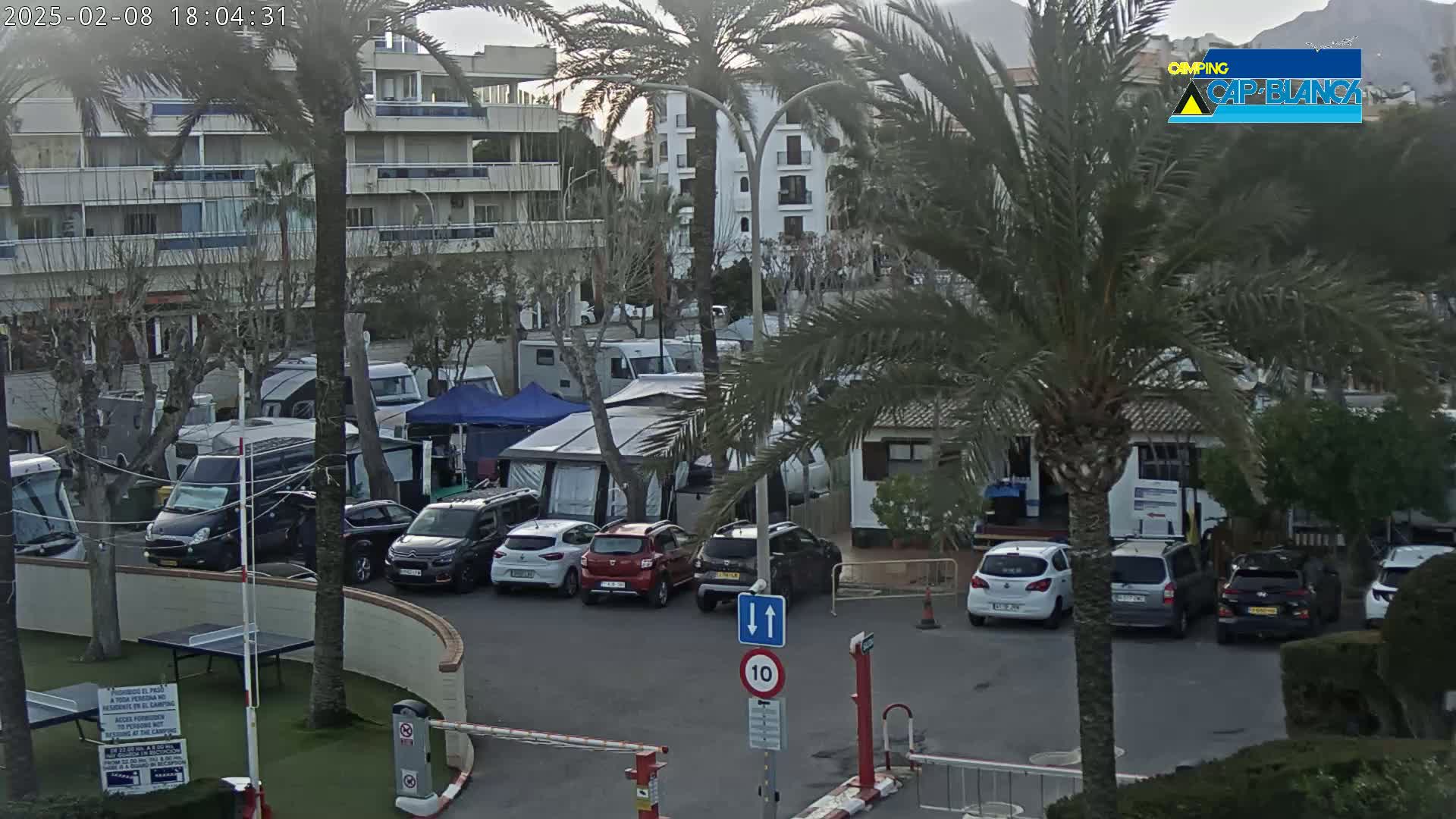 A parking lot with numerous cars and campervans is situated near a multi-story building, surrounded by palm trees under an overcast sky.