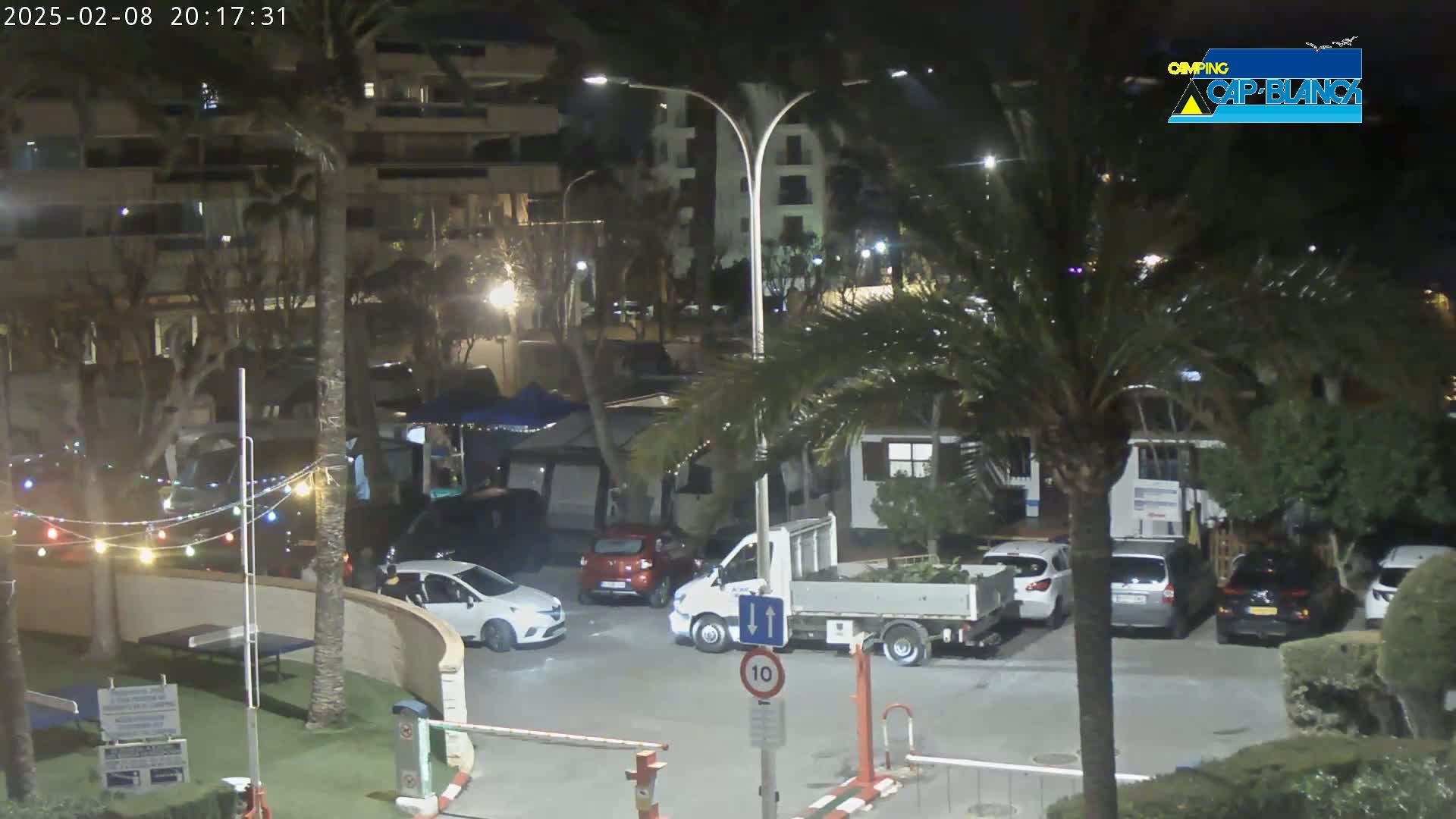A nighttime scene of a parking lot and surrounding area with several cars, a flatbed truck, palm trees, and string lights, illuminated by streetlights.
