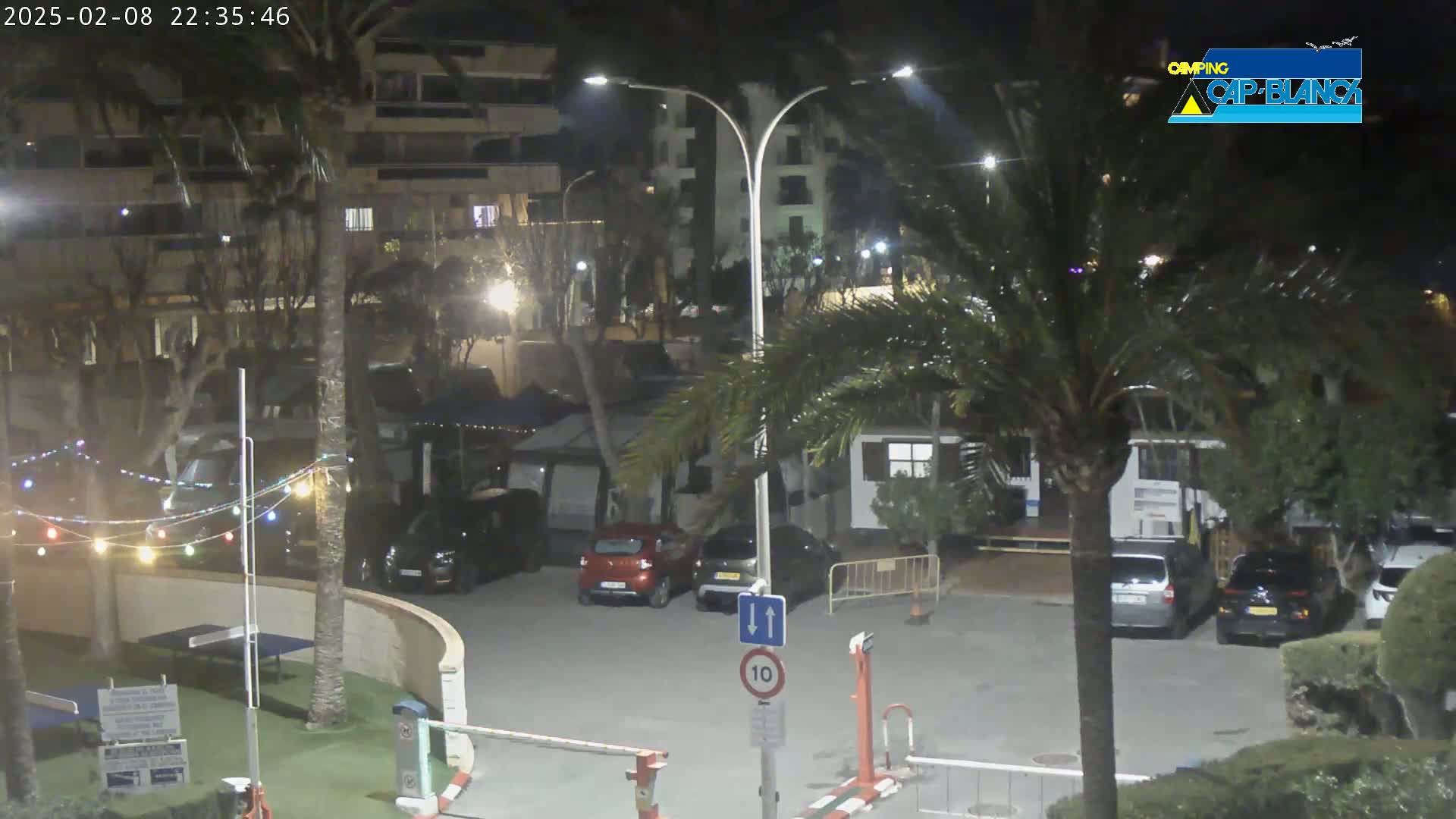 A nighttime scene of a parking lot with several cars, palm trees, and a building in the background, under slightly rainy conditions.