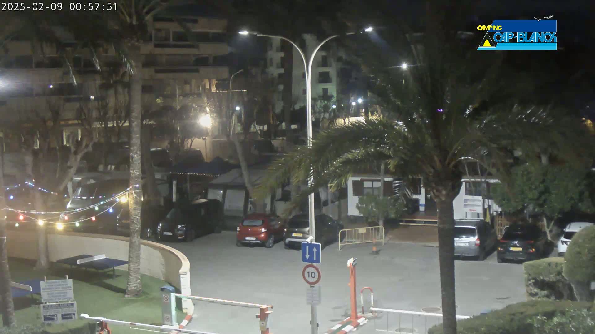 A nighttime view of a parking lot with cars, palm trees, and string lights, situated near buildings under a clear sky.