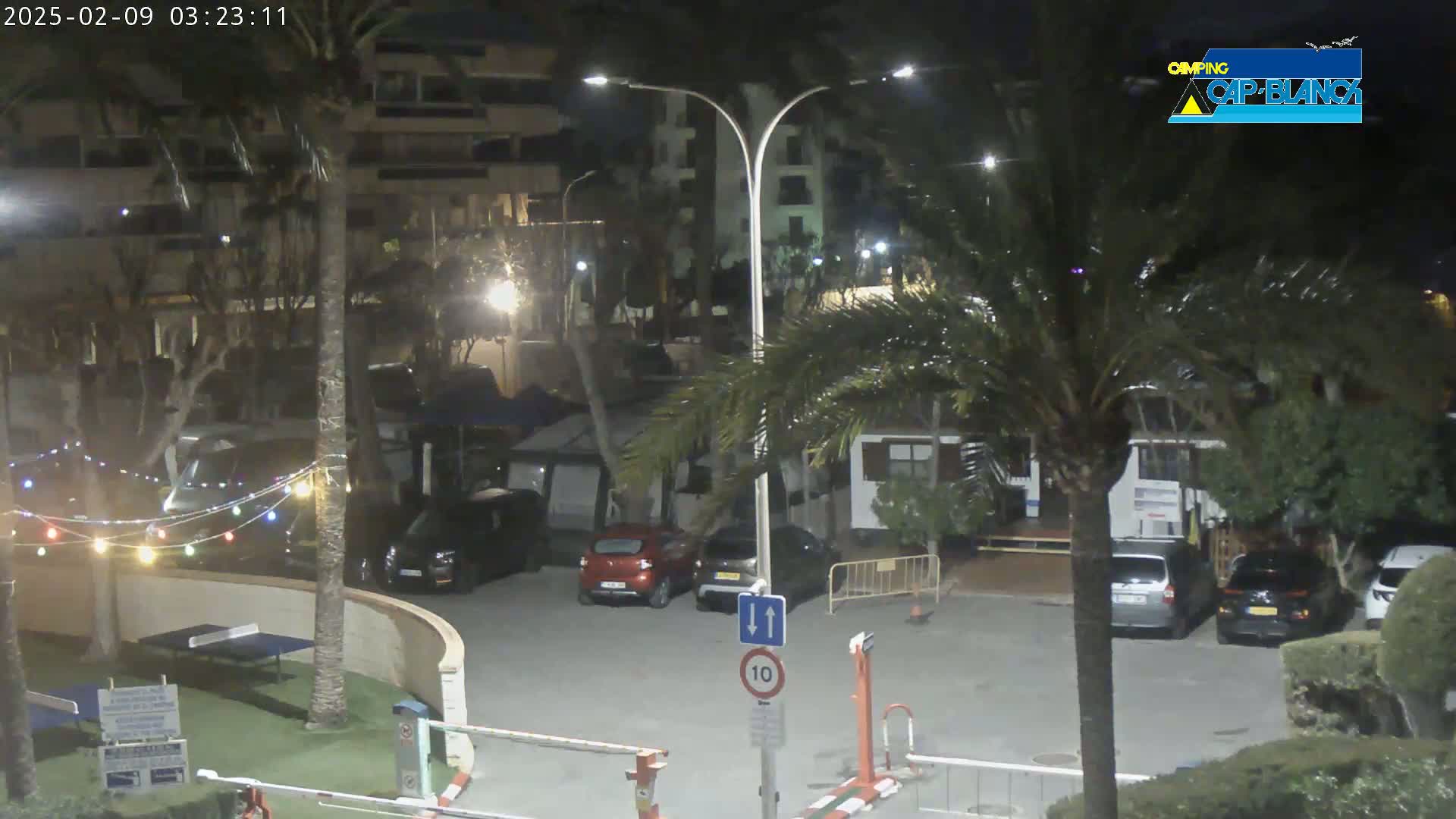 A nighttime view of a parking lot with several cars, palm trees, and buildings, illuminated by streetlights.