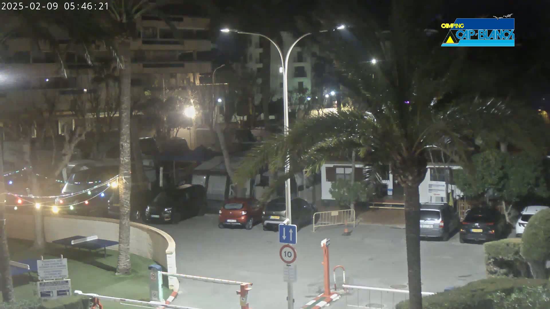A nighttime view of a parking lot with several cars, palm trees, and string lights, next to a building.