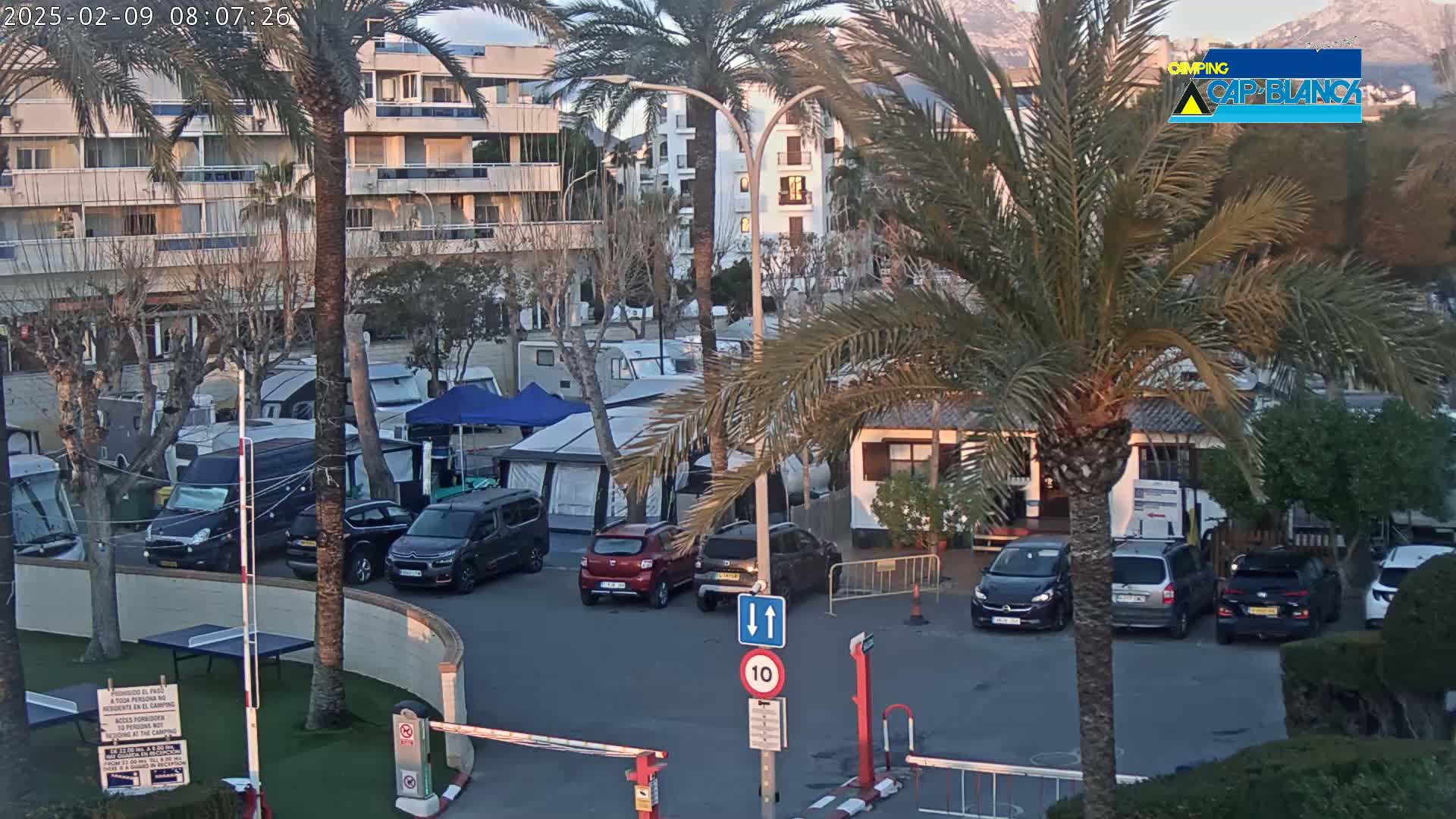 A parking lot with numerous cars and campervans is situated near a multi-story building and palm trees under a partly cloudy sky at sunrise.