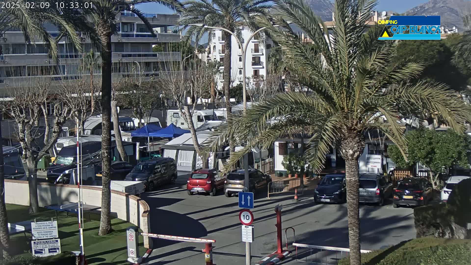 Under a sunny sky, a parking lot filled with cars and campervans is situated near palm trees and apartment buildings.