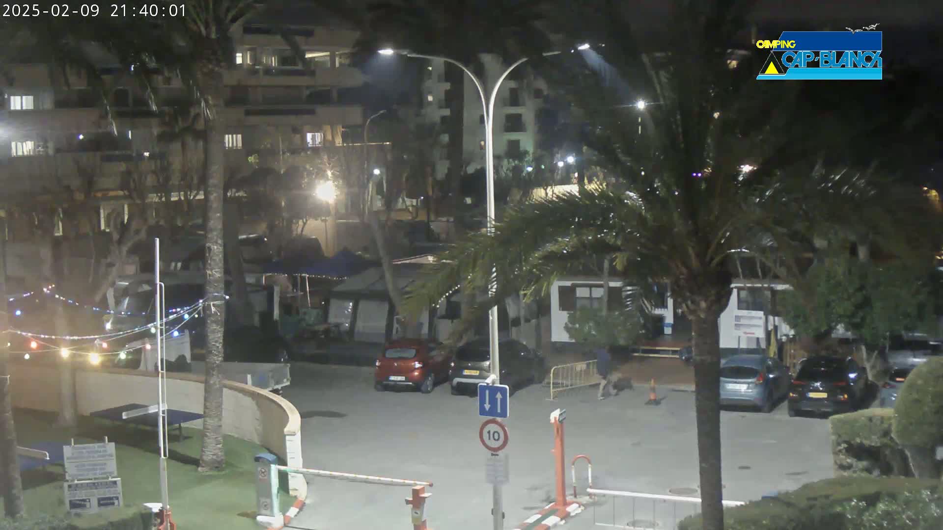 A nighttime, outdoor scene shows a parking lot with several cars, palm trees, and buildings under dim lighting.