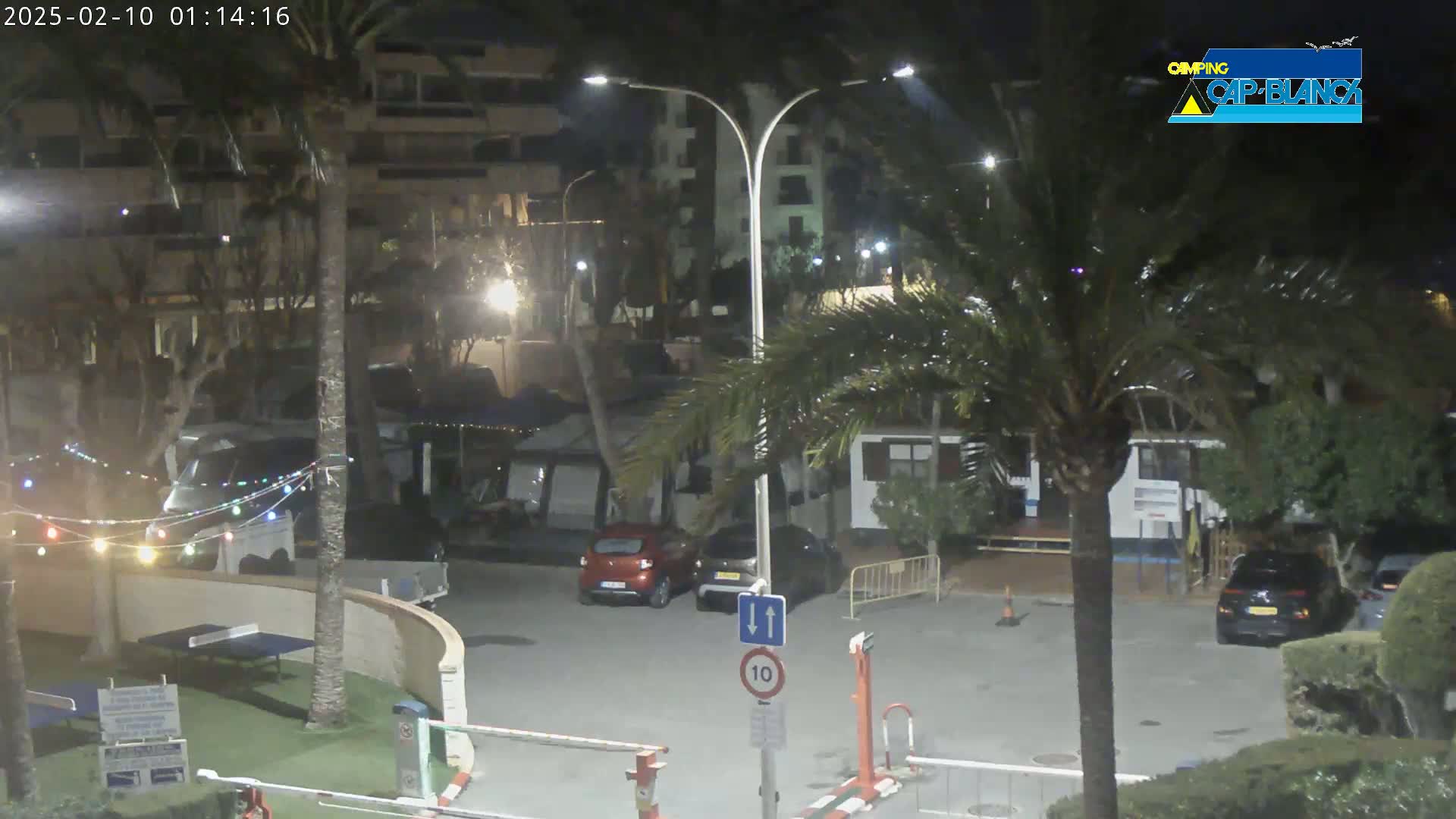 A nighttime scene shows a parking lot with several cars, palm trees, and buildings under artificial light.
