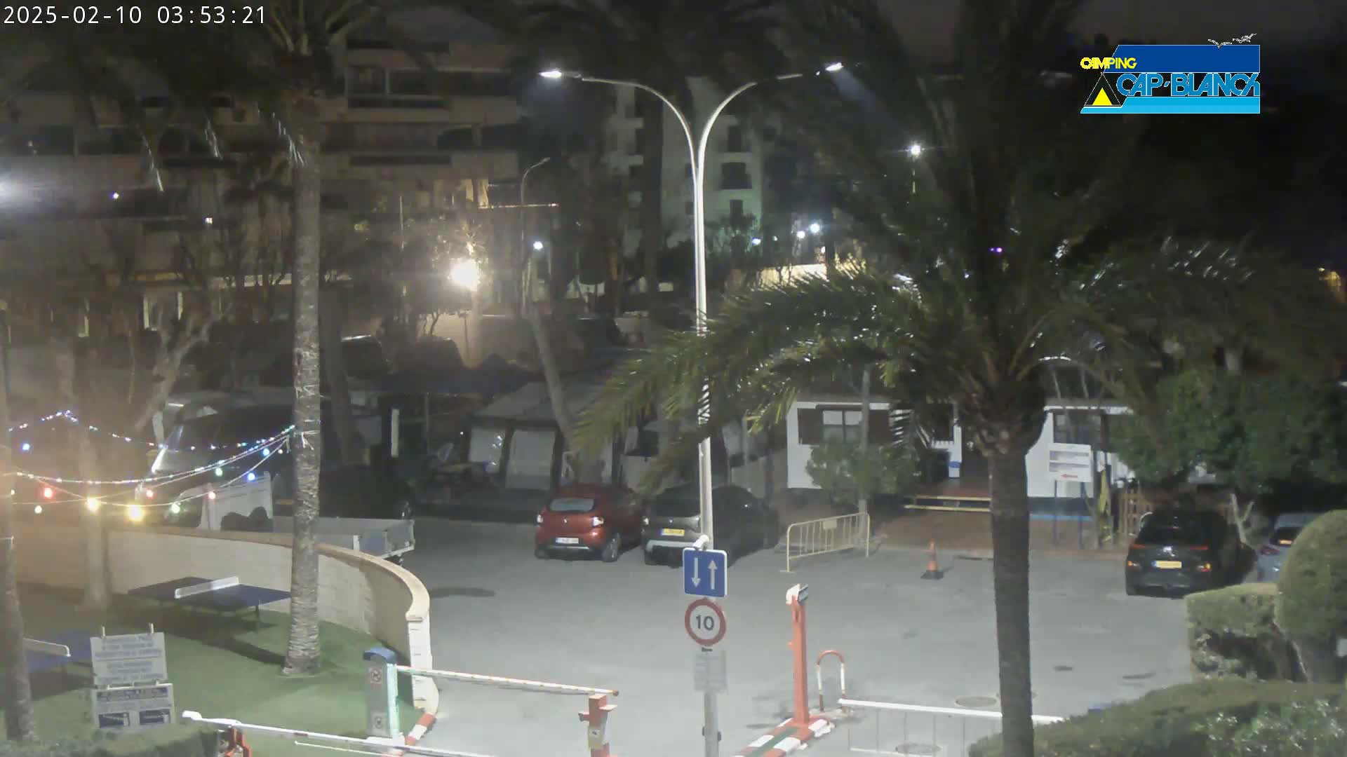 A nighttime parking lot scene with palm trees, buildings, a few cars, and string lights.
