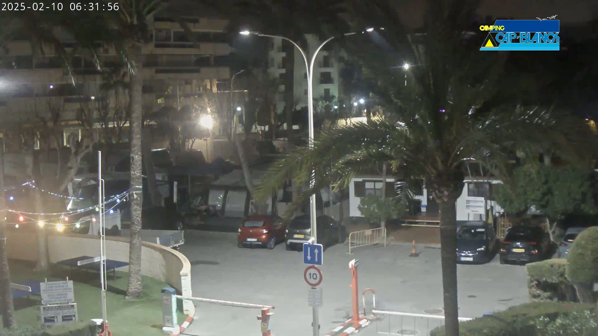 A nighttime view of a parking lot with several cars, palm trees, and buildings, illuminated by streetlights.