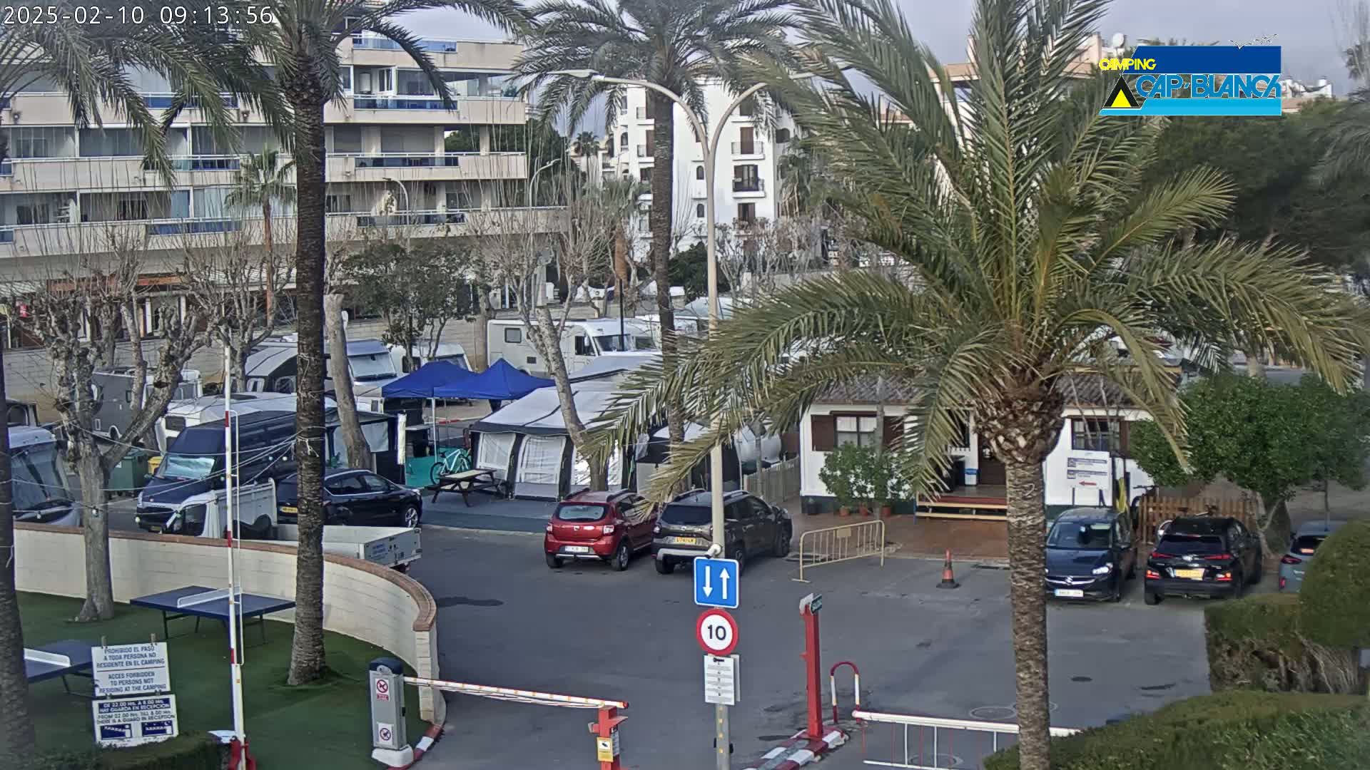 A parking lot with numerous RVs and cars, situated near a building and palm trees, under an overcast sky.