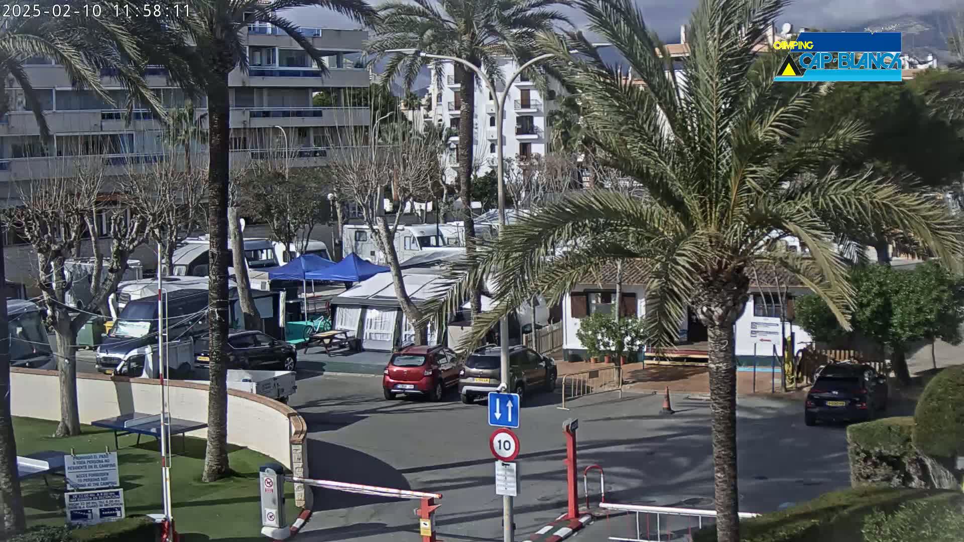 A sunny day at a campground with numerous RVs and cars parked amidst palm trees and buildings.