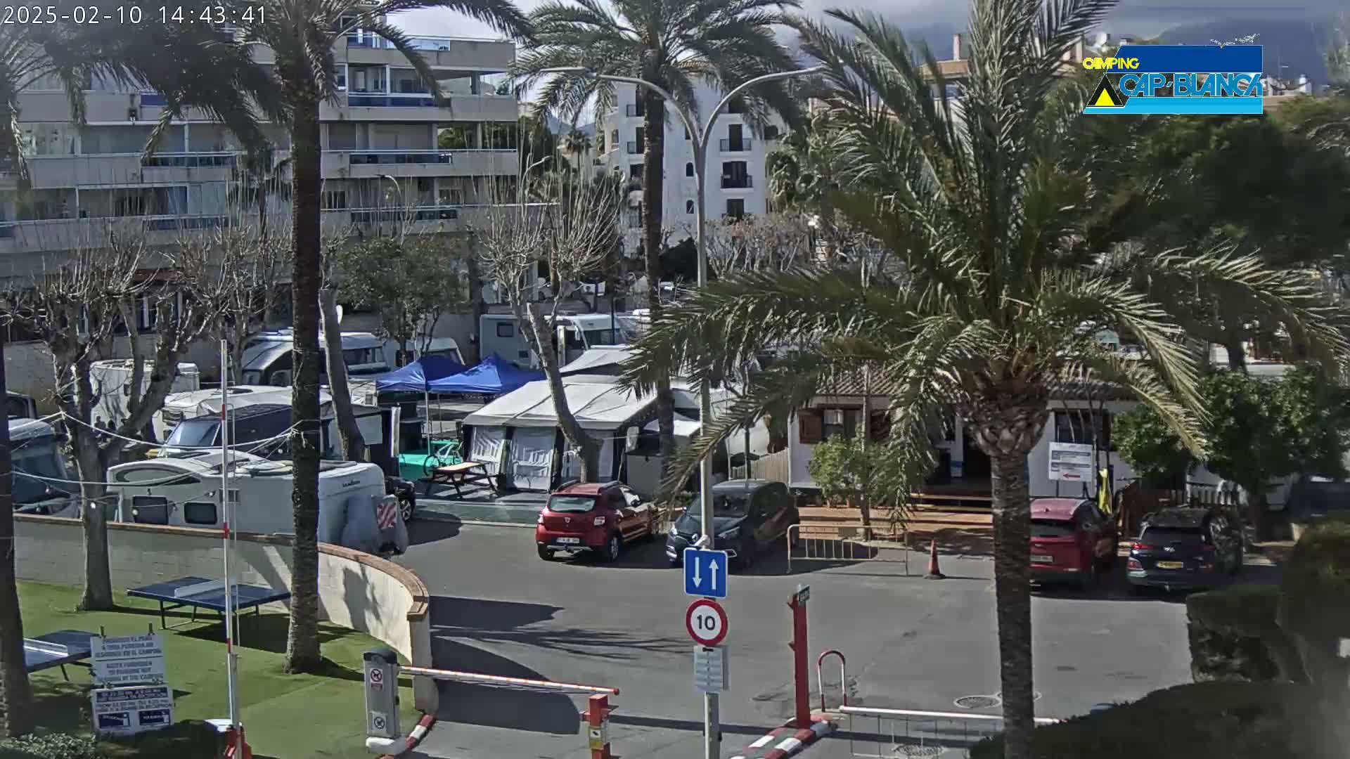A sunny day at a campground with numerous RVs and cars parked, surrounded by palm trees and buildings.