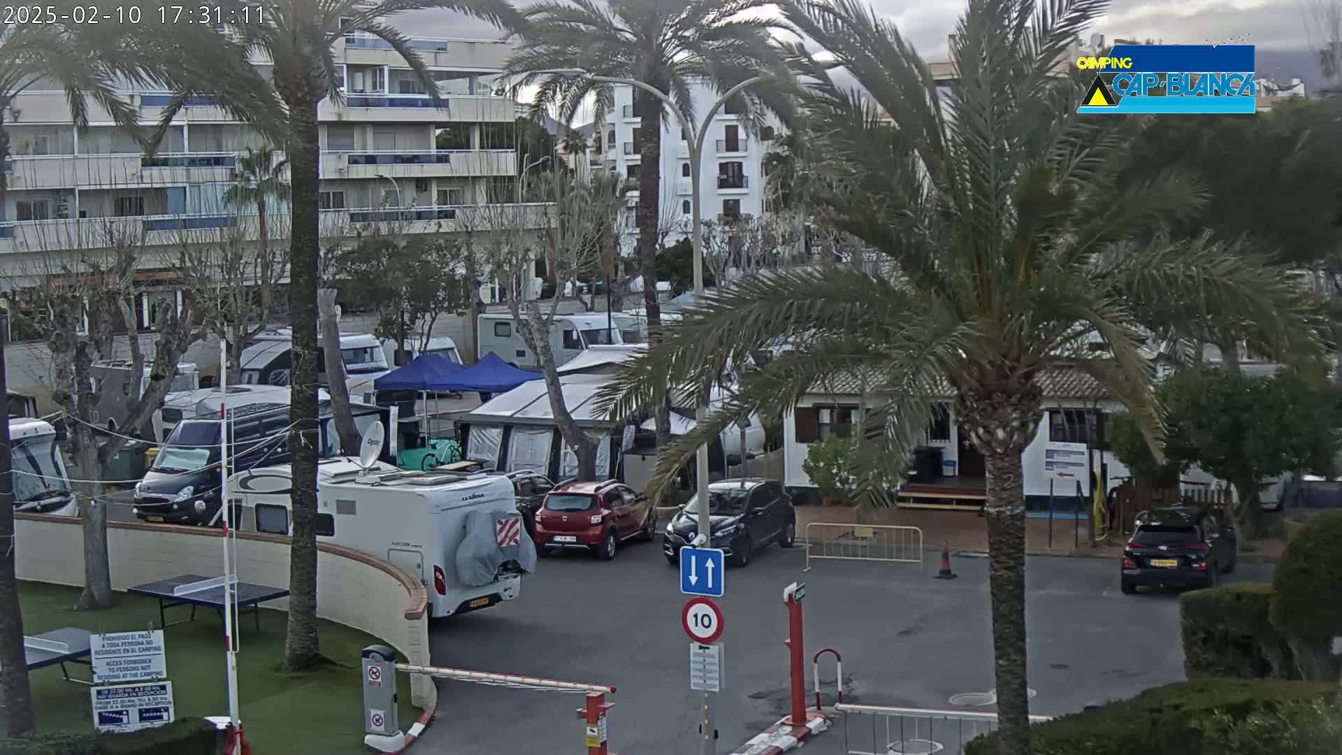 A parking area filled with campervans and tents, situated next to a multi-story building under an overcast sky.