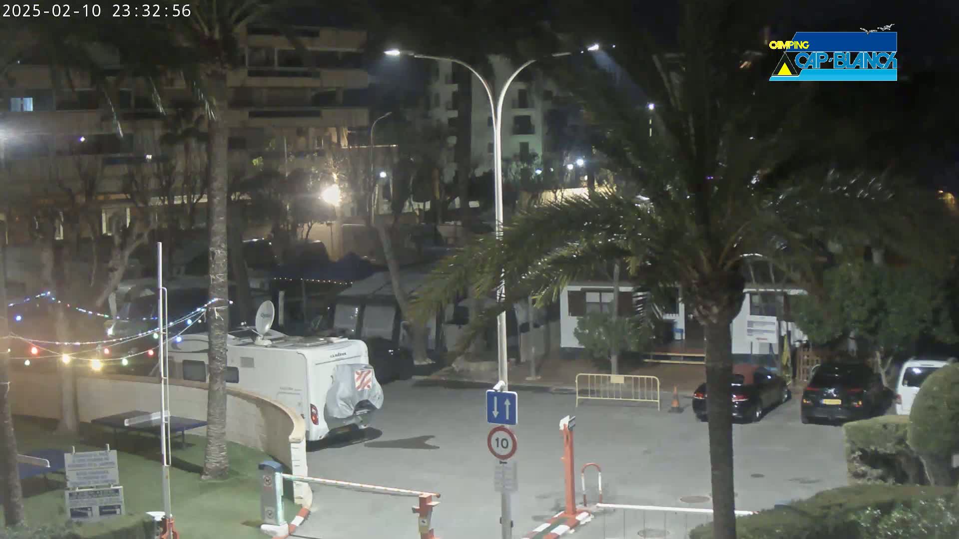 A nighttime view of a parking lot with several cars and a campervan, surrounded by palm trees and buildings, under dark, possibly rainy conditions.