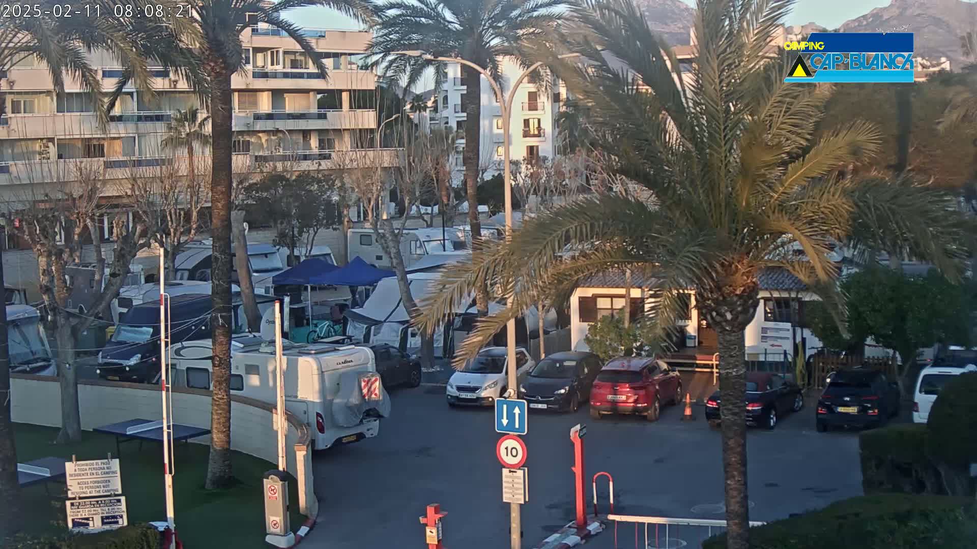 A sunny morning view of a campground with numerous RVs, cars, and palm trees, situated near a multi-story building and mountains in the distance.