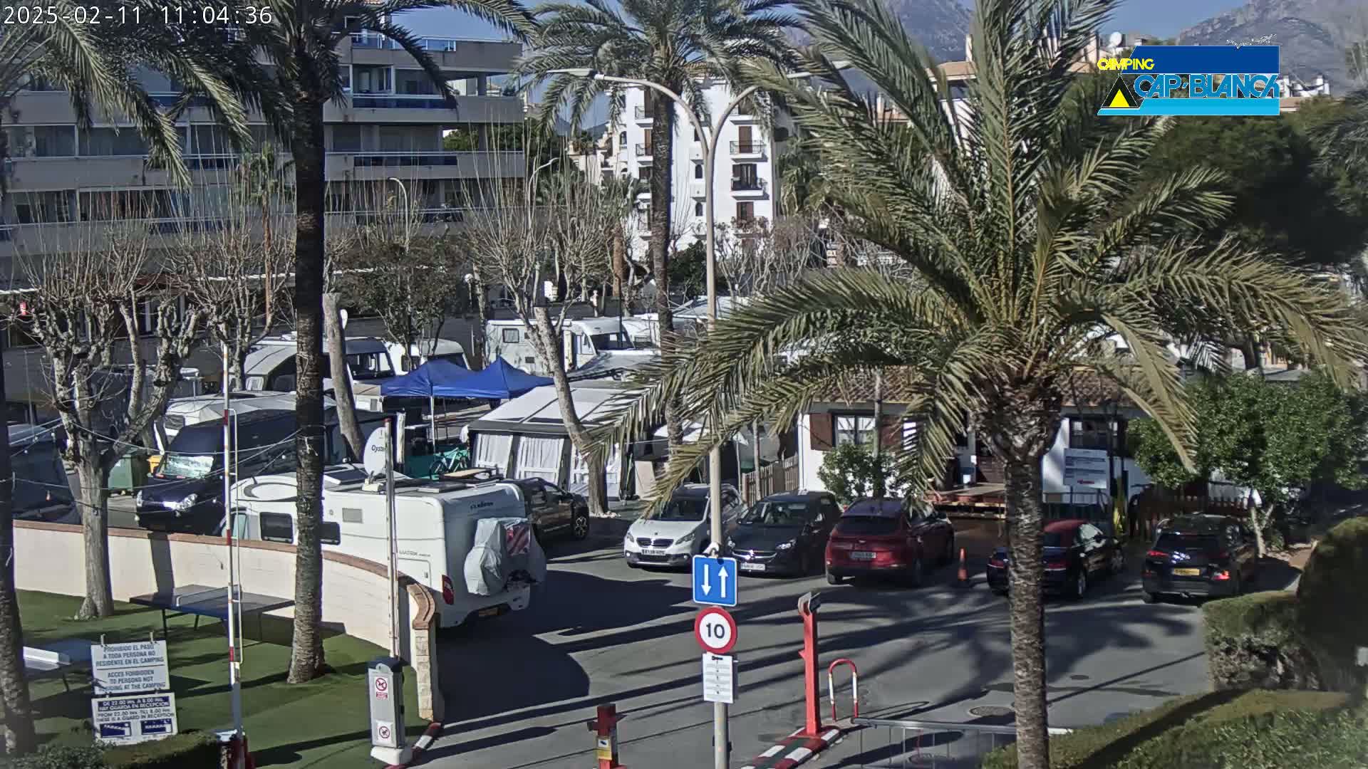 A sunny day at a campground filled with recreational vehicles, cars, and palm trees, situated near a multi-story building.