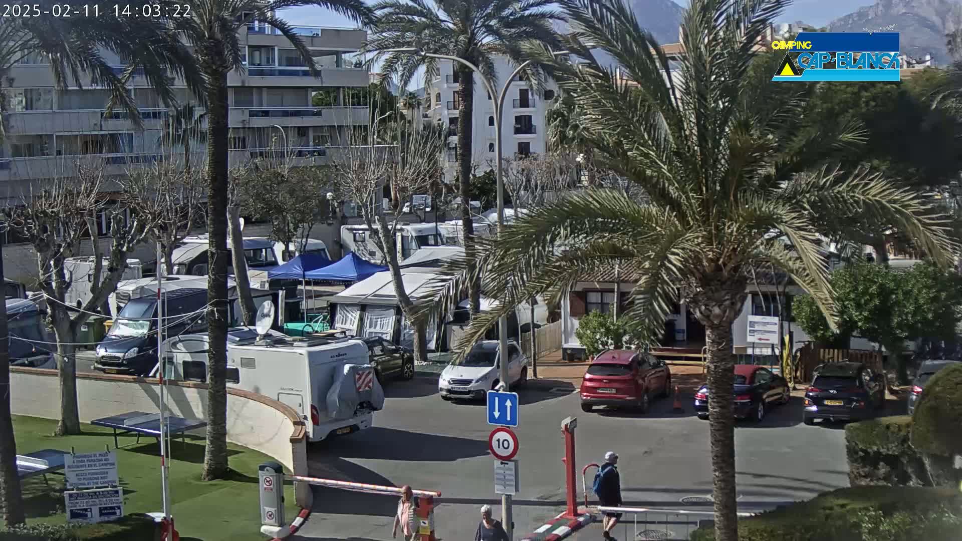 A sunny day at a campground filled with RVs, cars, and palm trees, near buildings and mountains in the distance.