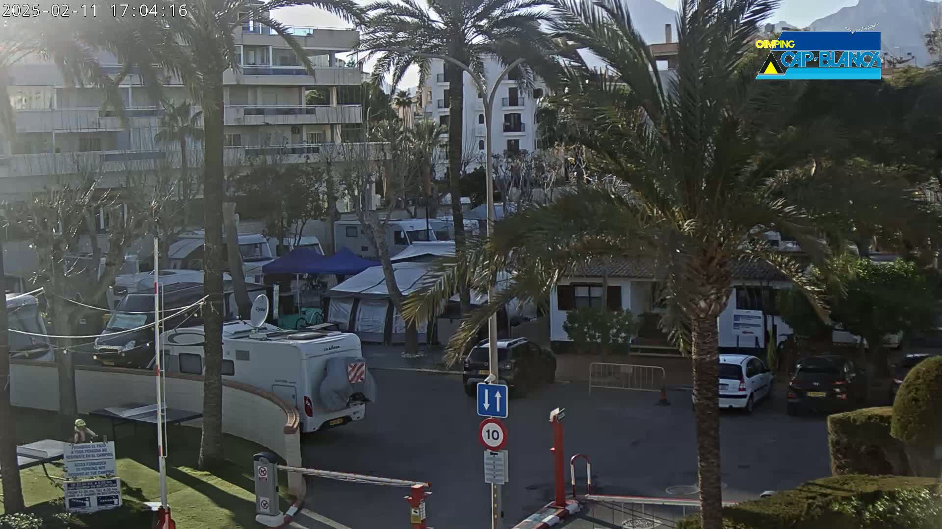 A sunny day reveals a parking lot filled with campervans and tents nestled among palm trees and apartment buildings.