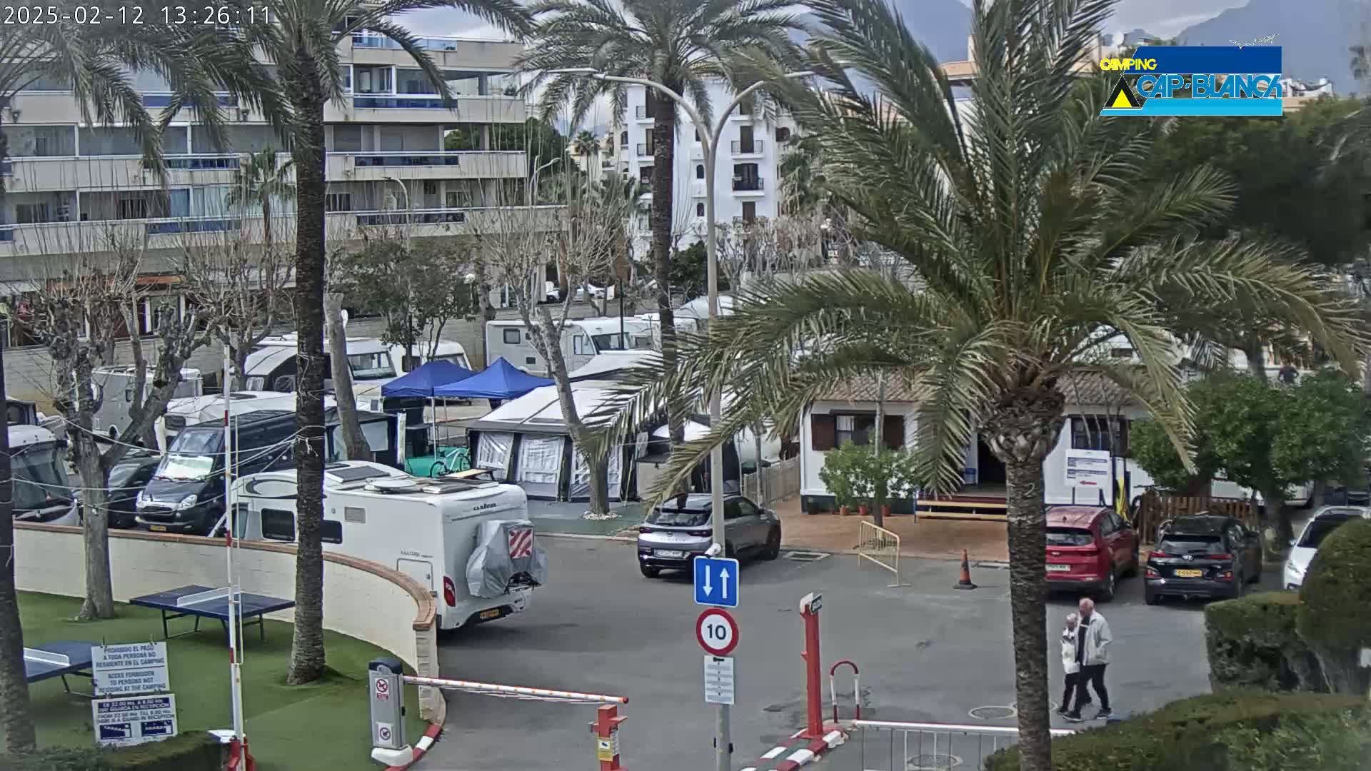 A mostly sunny day at a campground shows numerous RVs, cars, and small buildings, with palm trees scattered throughout.