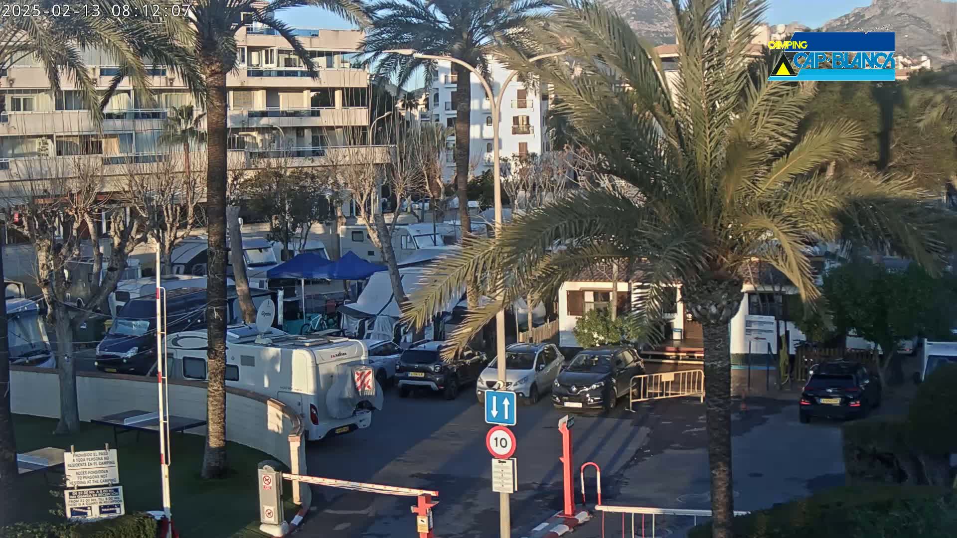 A sunny outdoor scene shows a campervan park surrounded by palm trees and buildings, with several cars and RVs parked in the lot.