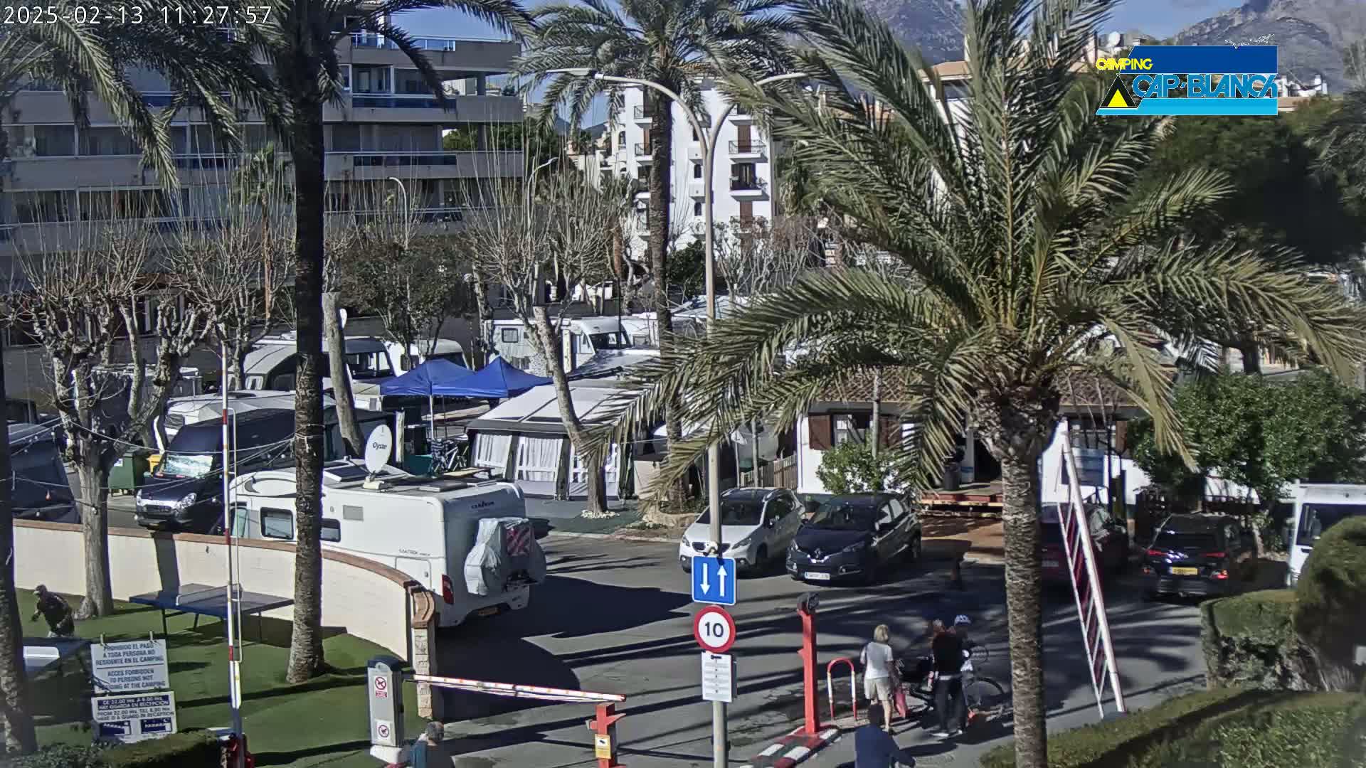 A sunny day at a campground with numerous RVs and cars parked amongst palm trees and buildings.