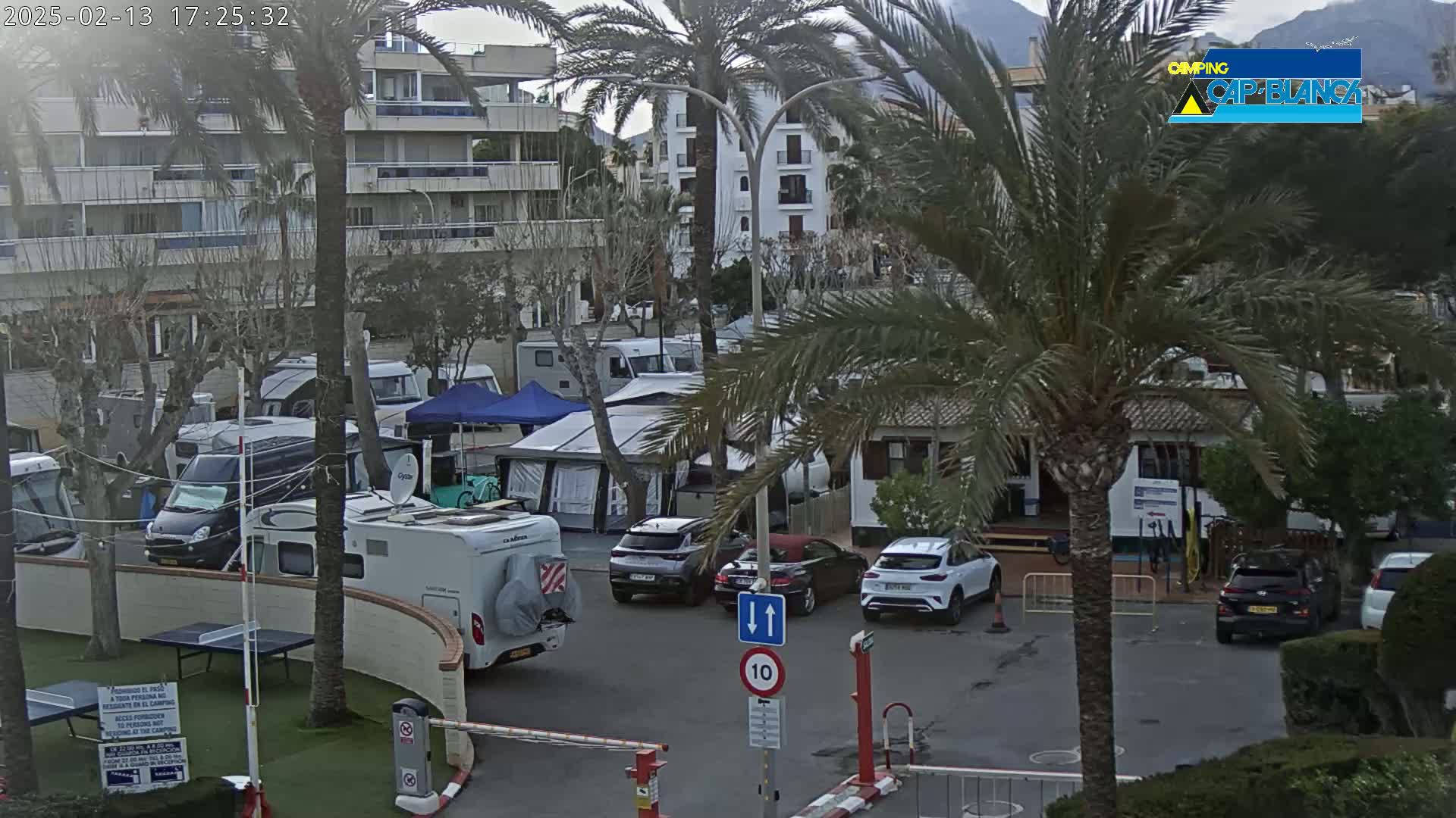 A campground with numerous RVs and tents is nestled between palm trees and apartment buildings under an overcast sky.