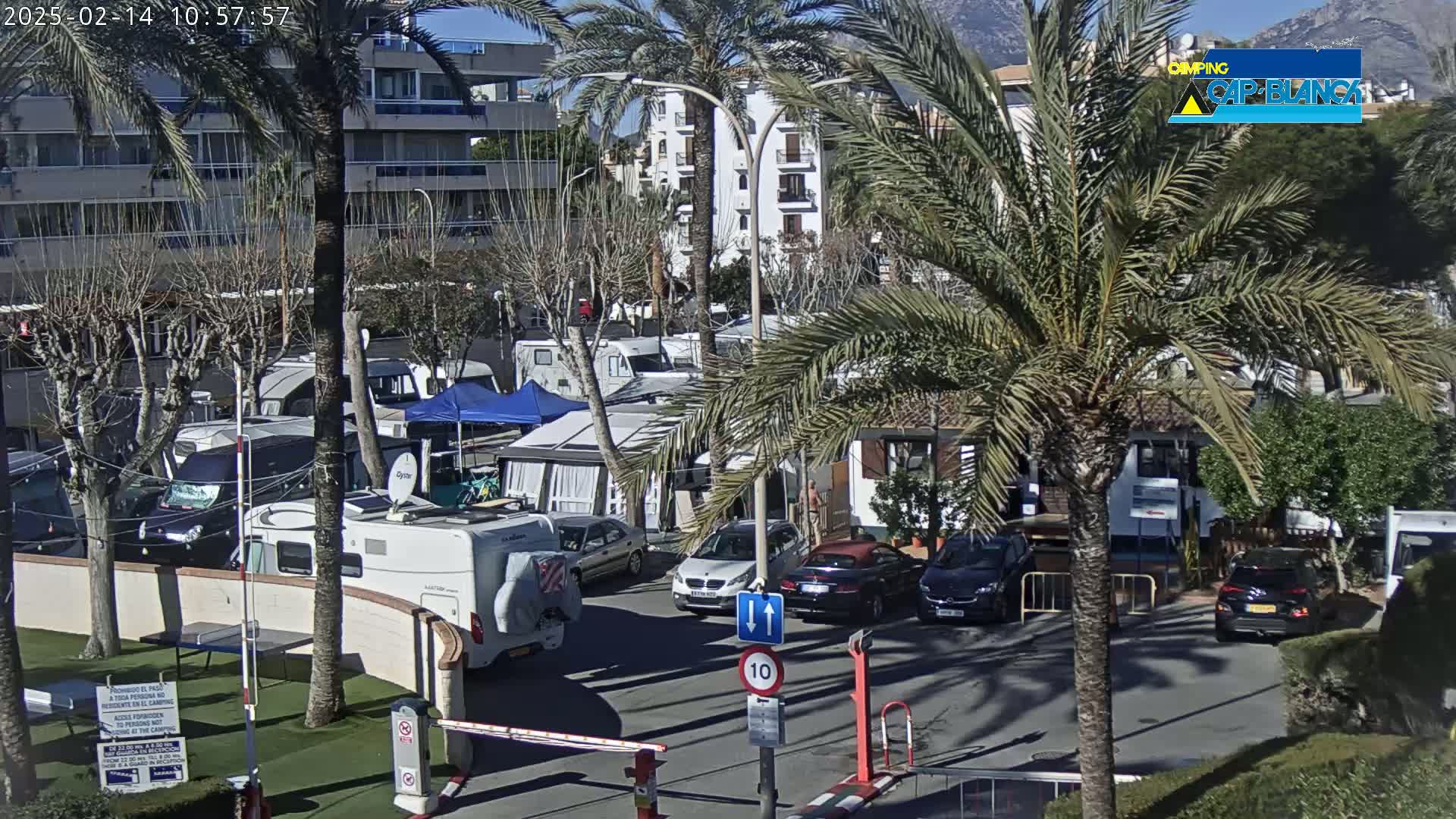 A sunny day at a campground with numerous RVs and cars parked, surrounded by palm trees and buildings.